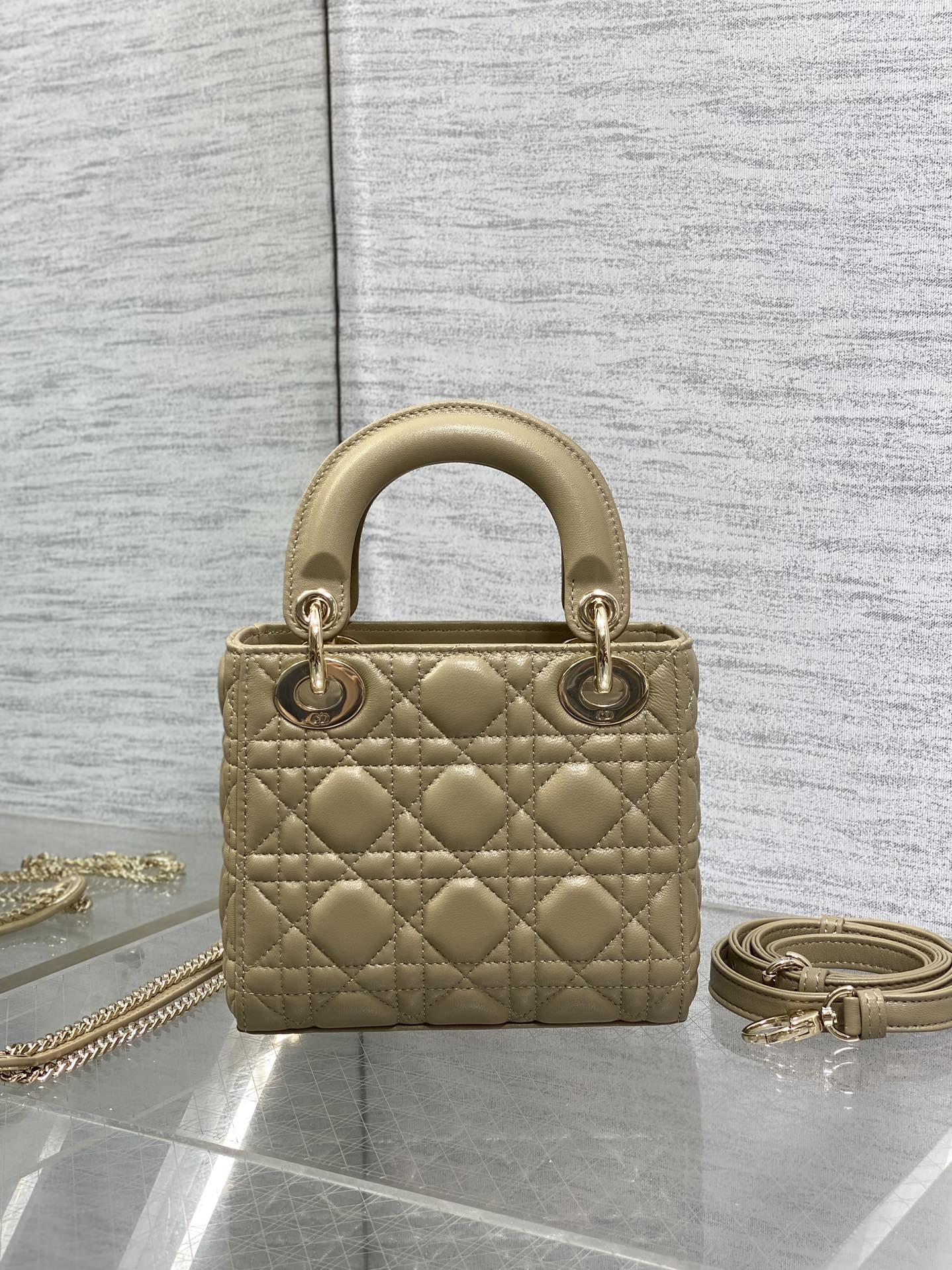 BAG-DIOR-W-LY-748