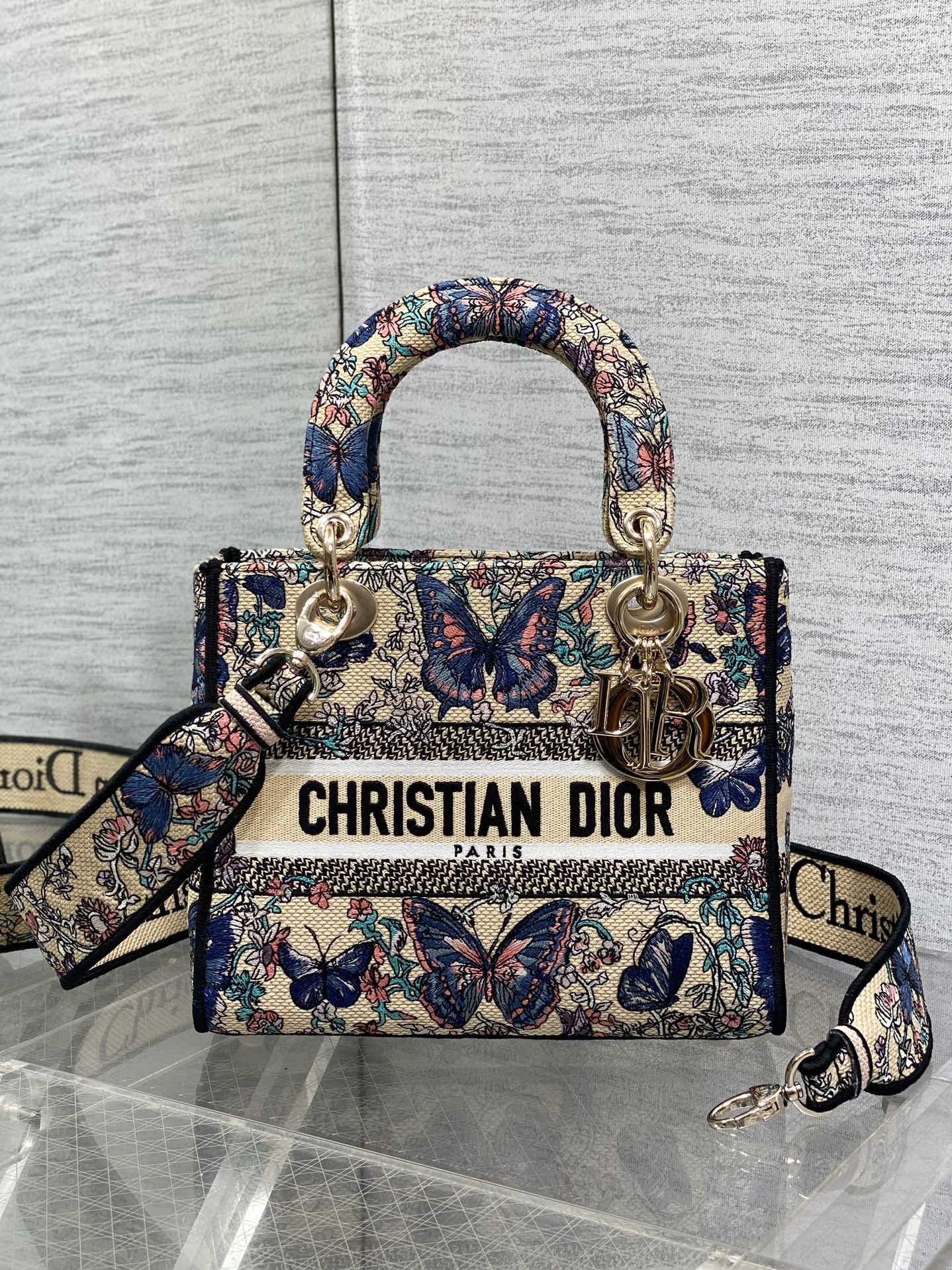 BAG-DIOR-W-LY-504