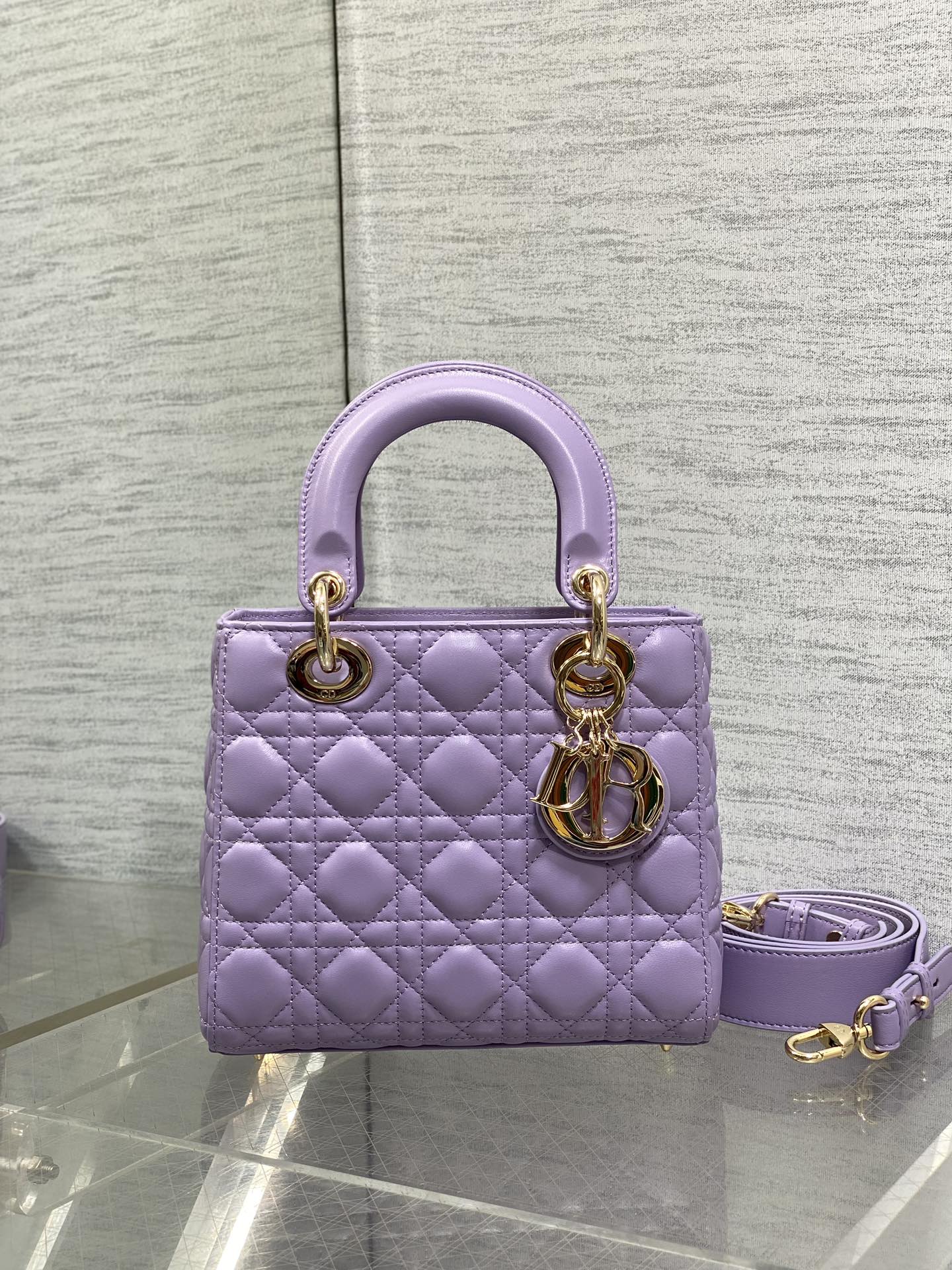 BAG-DIOR-W-LY-771