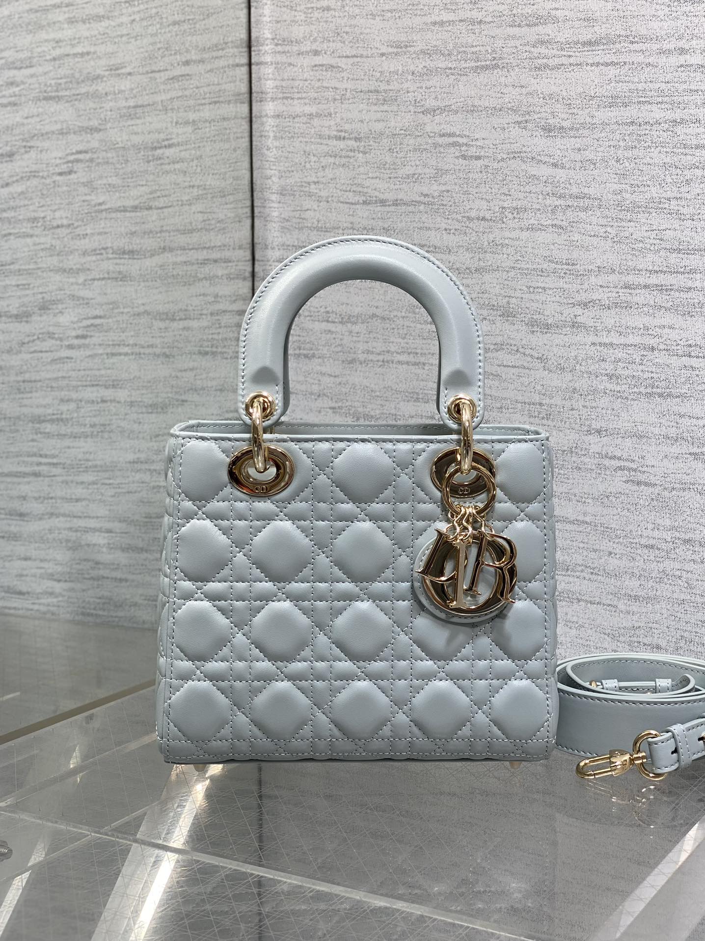 BAG-DIOR-W-LY-761