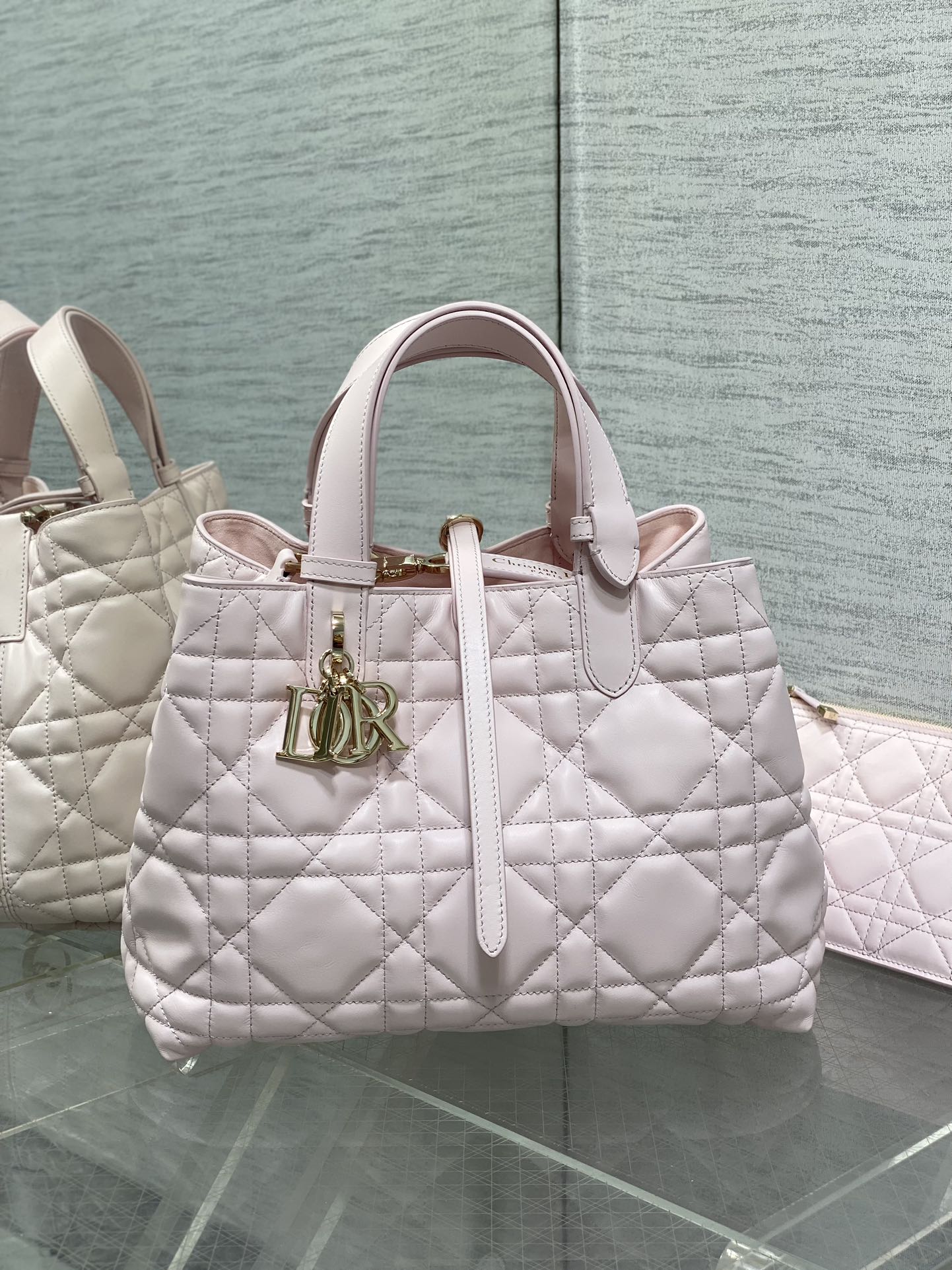 BAG-DIOR-W-LY-272