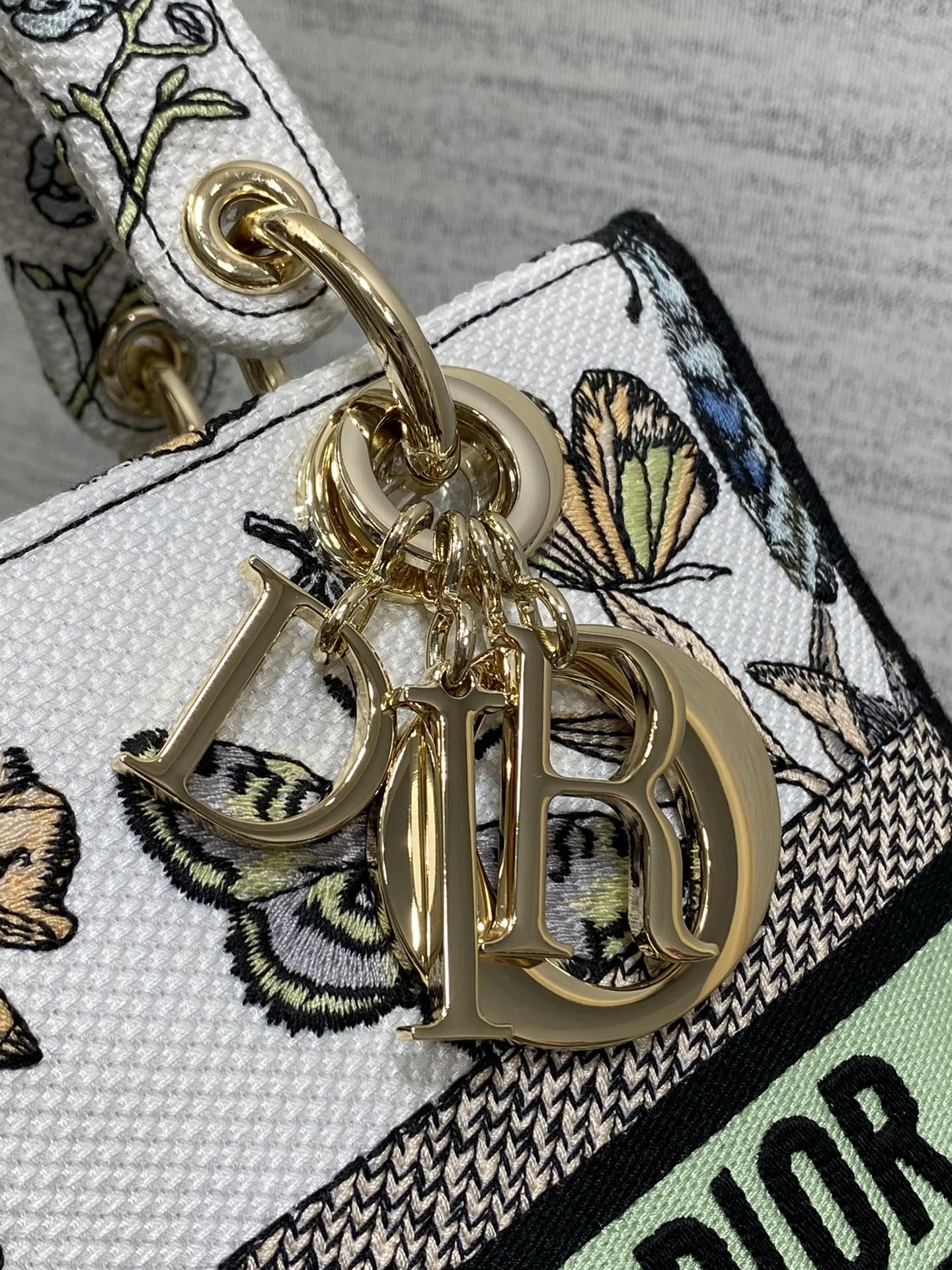 BAG-DIOR-W-LY-079