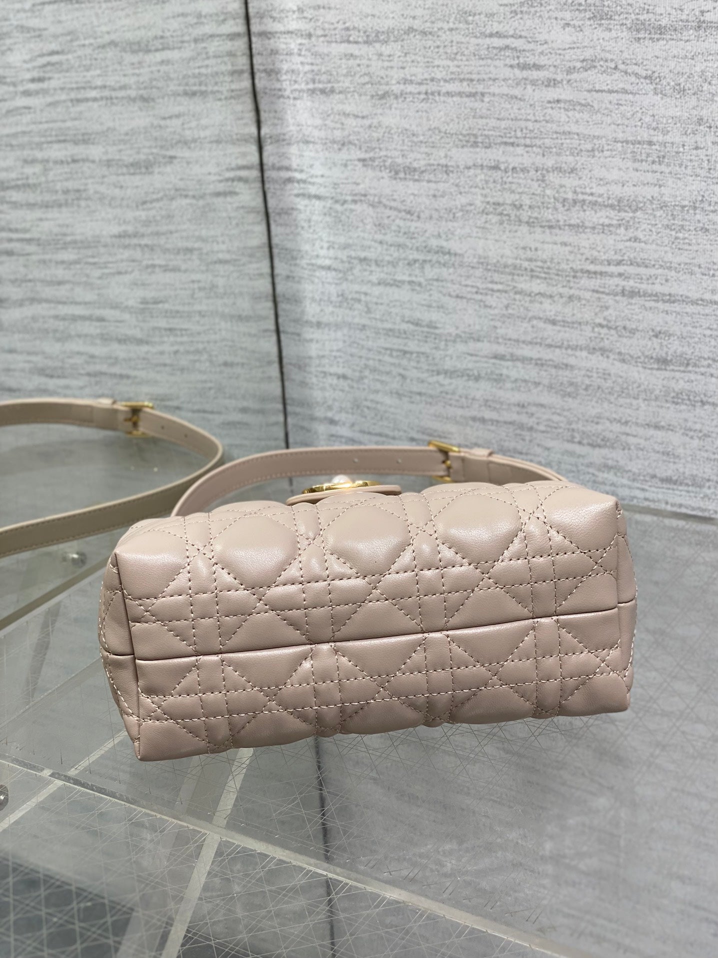 BAG-DIOR-W-LY-023