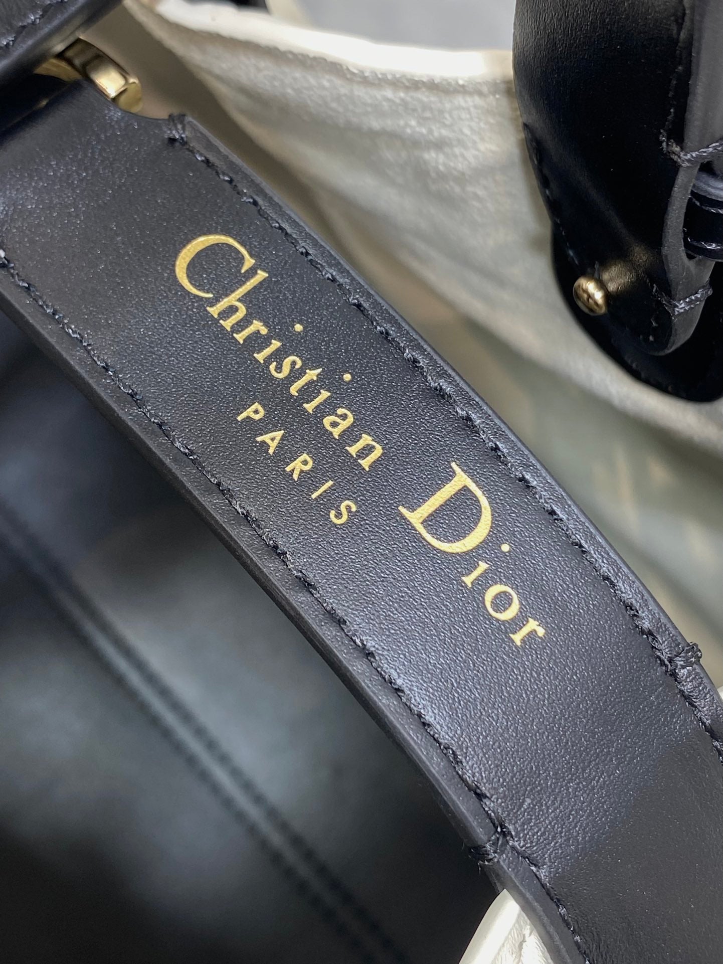 BAG-DIOR-W-LY-123