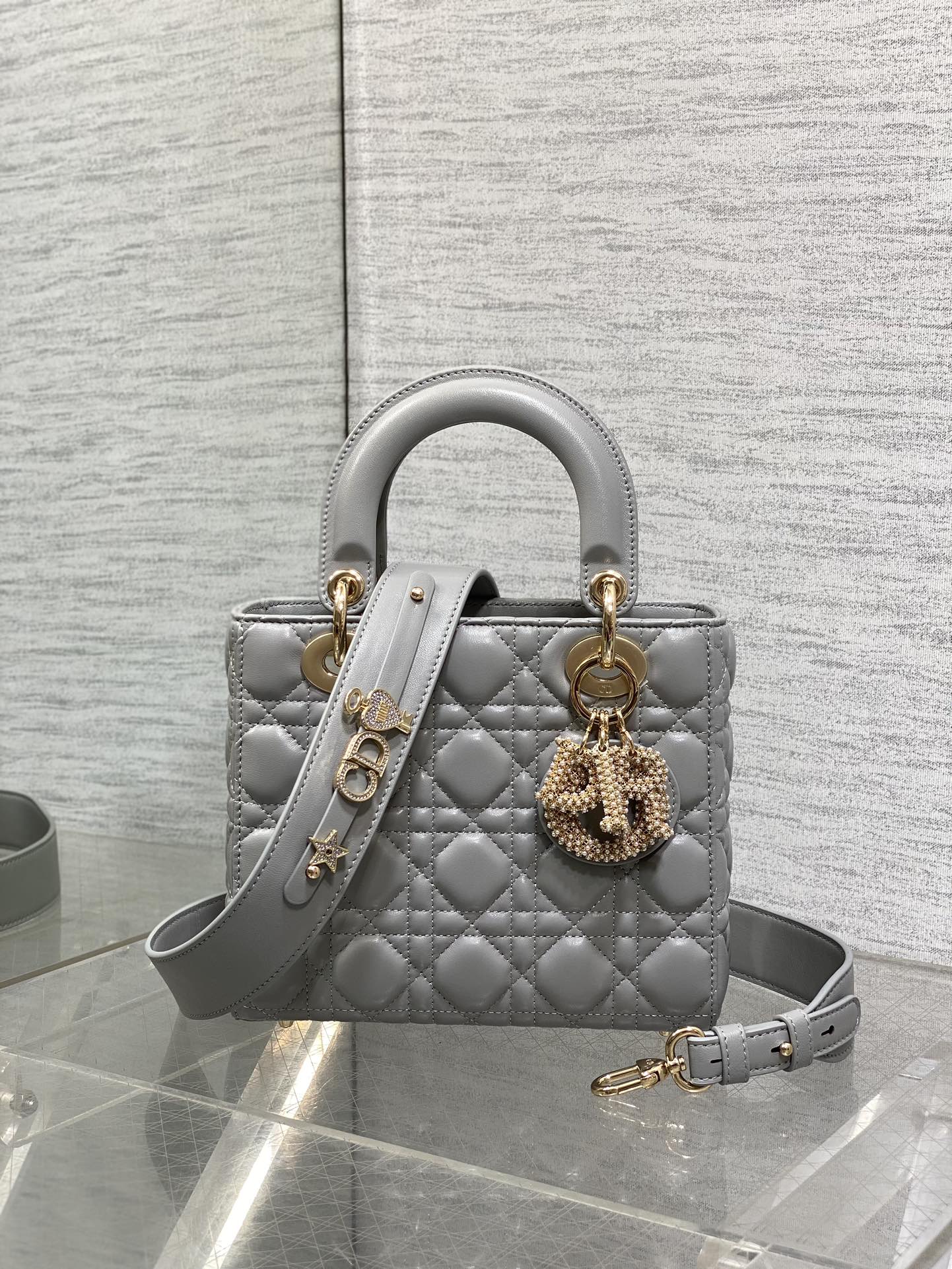 BAG-DIOR-W-LY-738