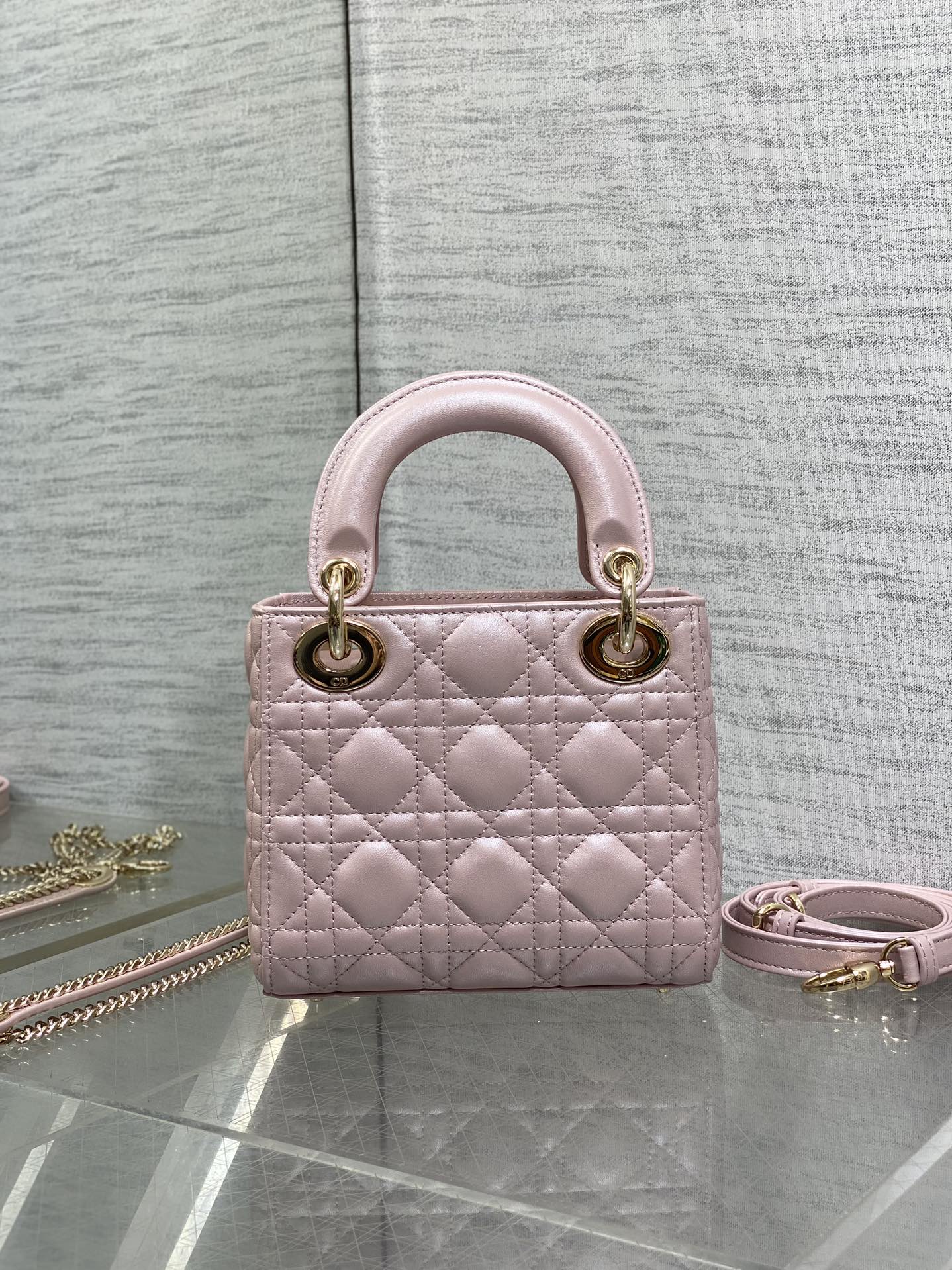 BAG-DIOR-W-LY-754