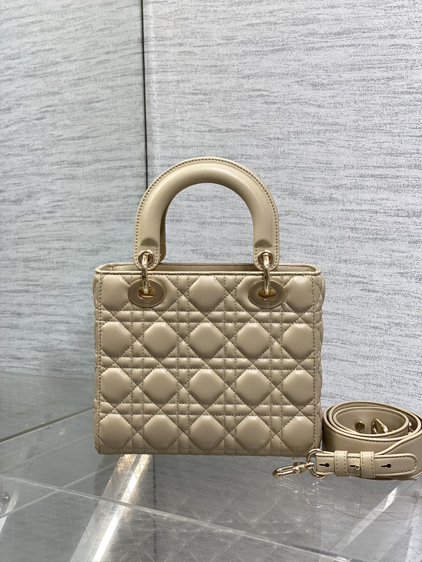 BAG-DIOR-W-LY-737