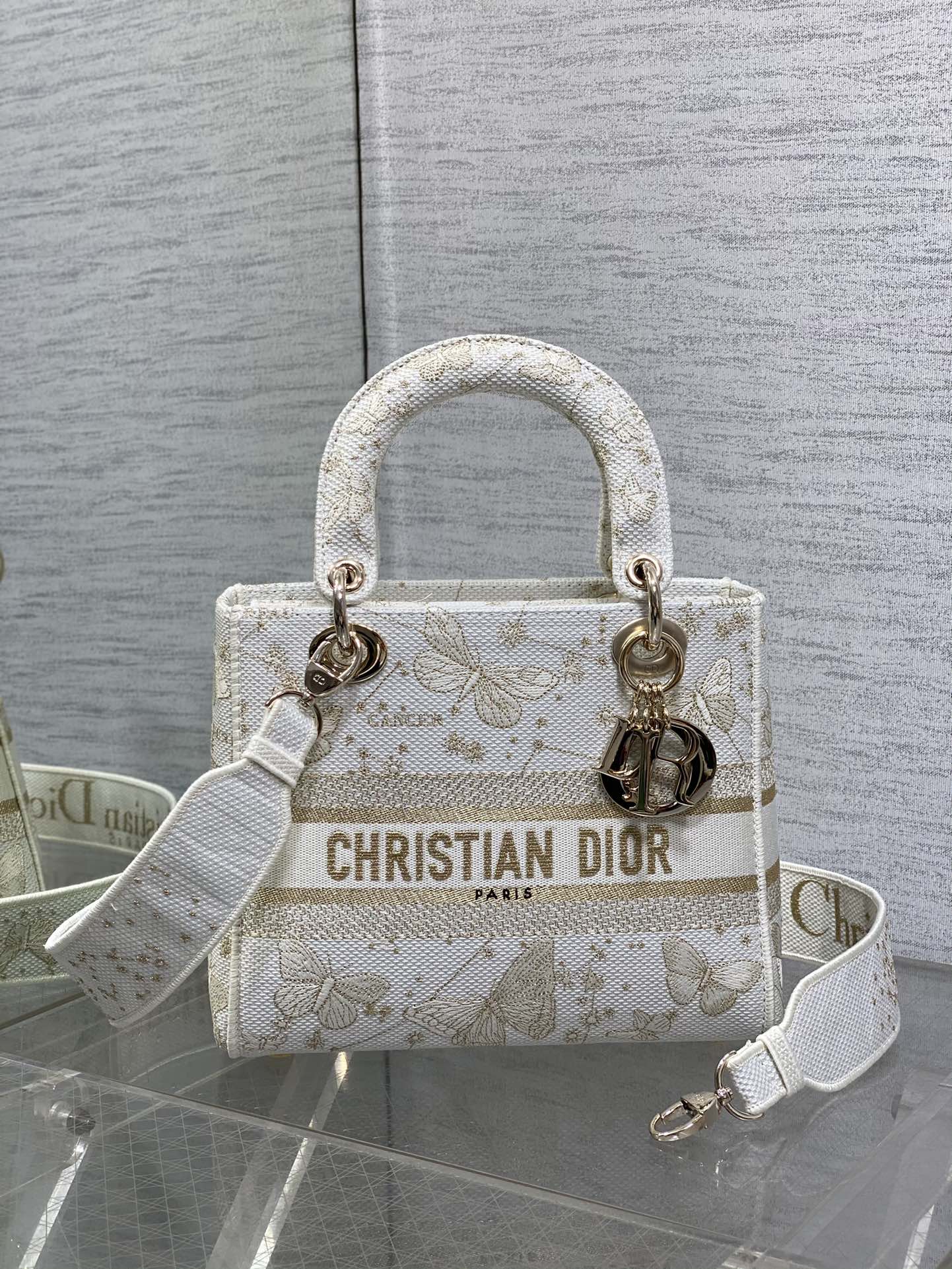 BAG-DIOR-W-LY-448