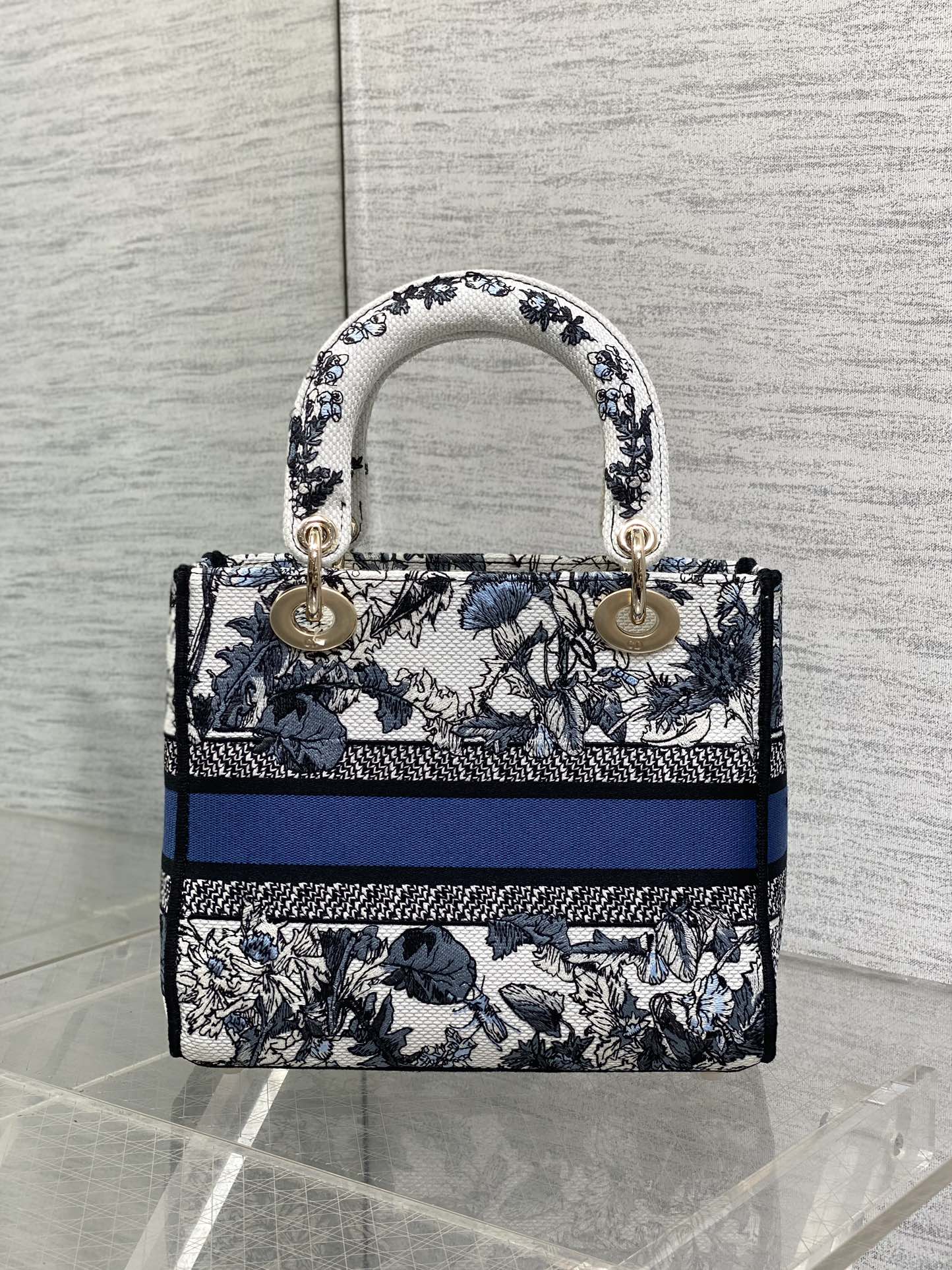 BAG-DIOR-W-LY-076
