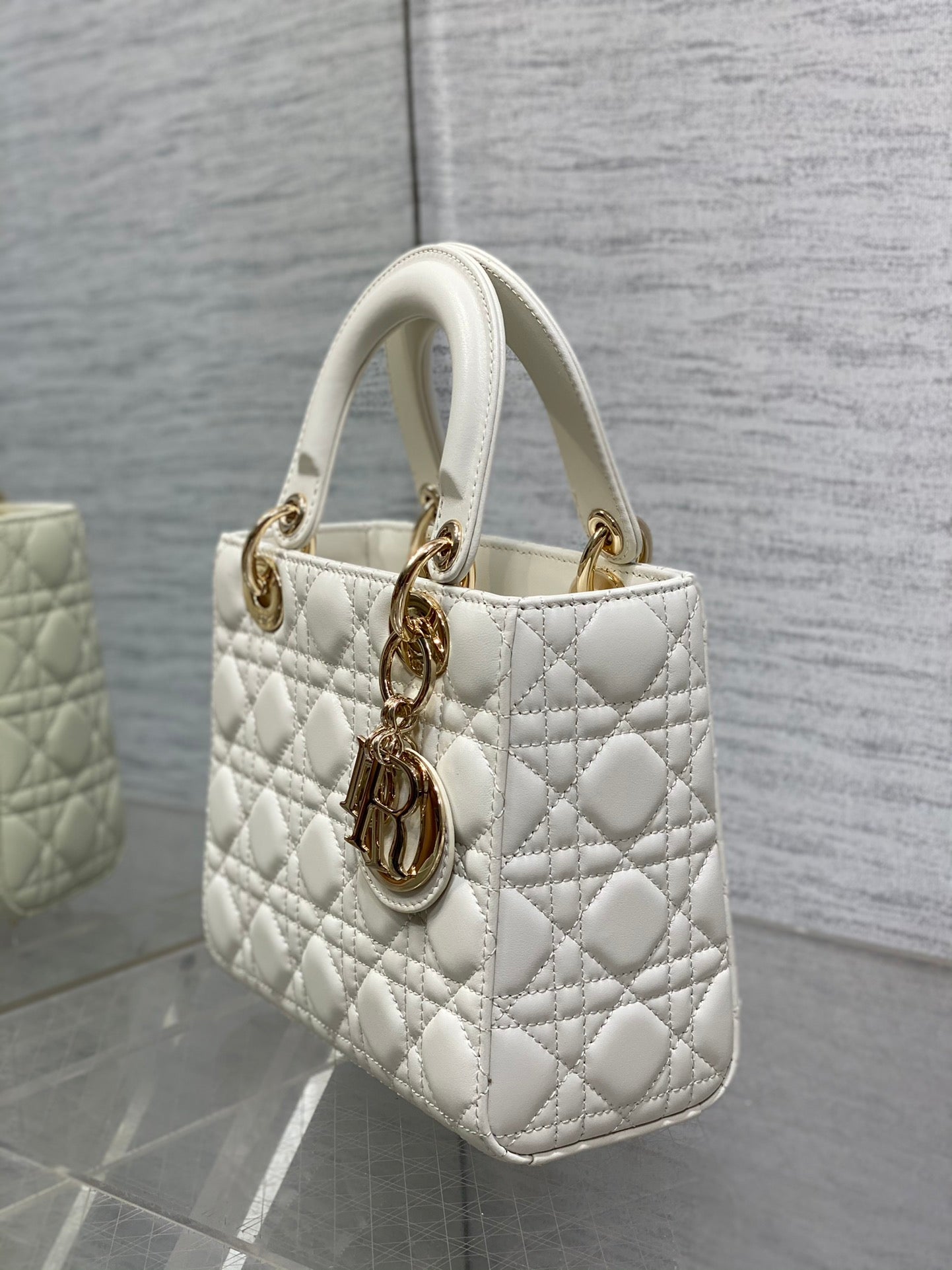 BAG-DIOR-W-LY-665
