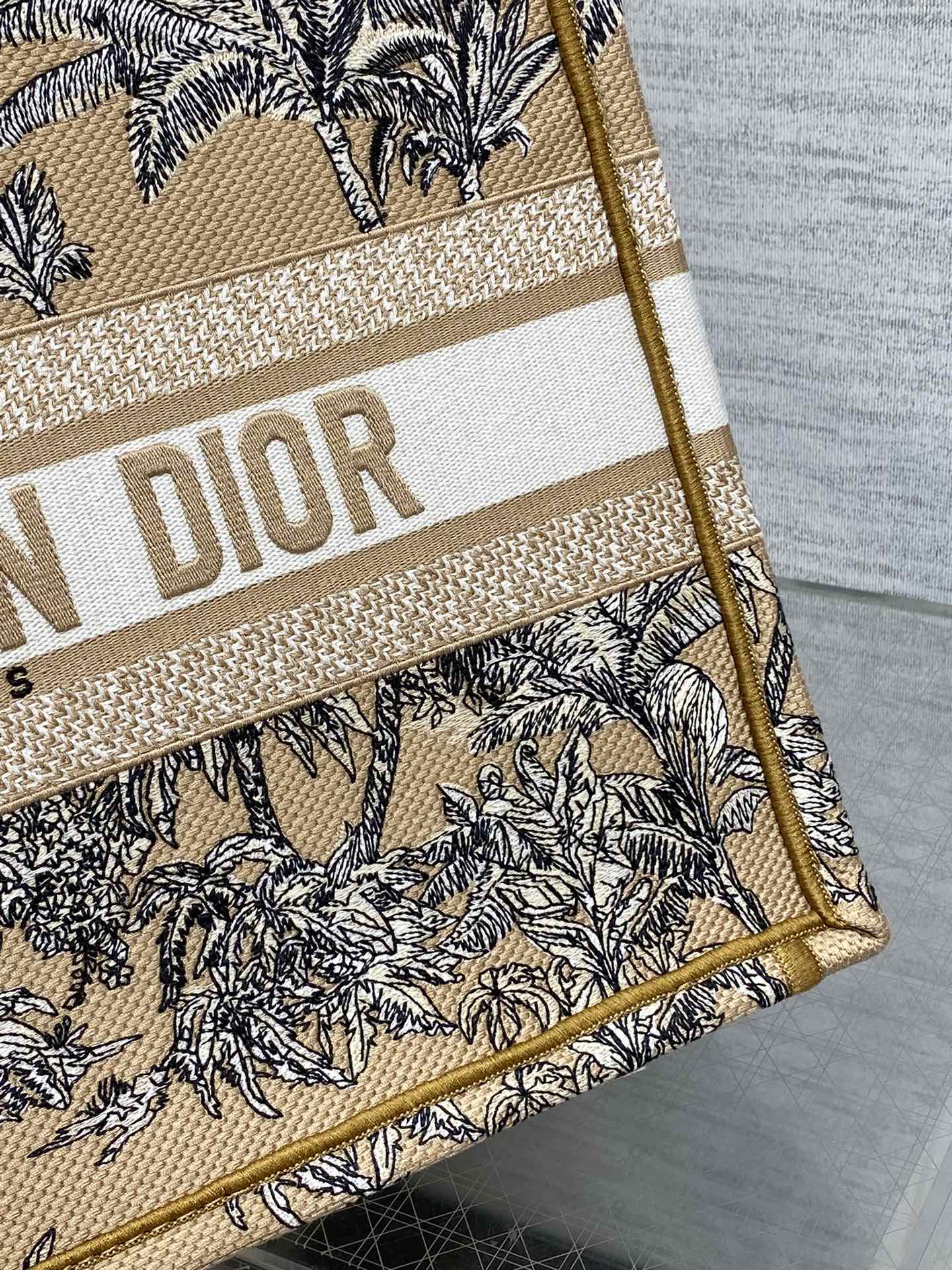 BAG-DIOR-W-LY-897