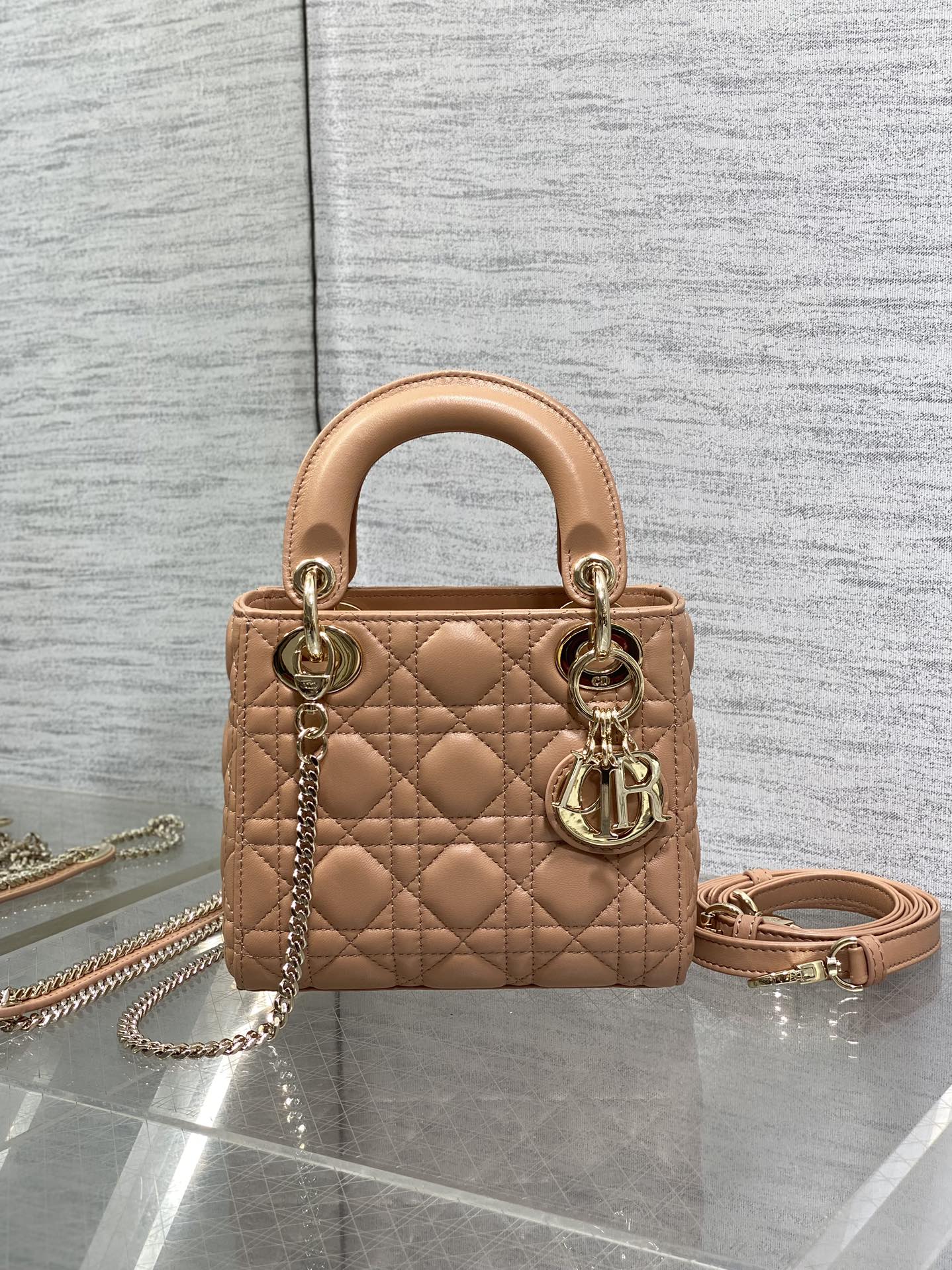 BAG-DIOR-W-LY-753