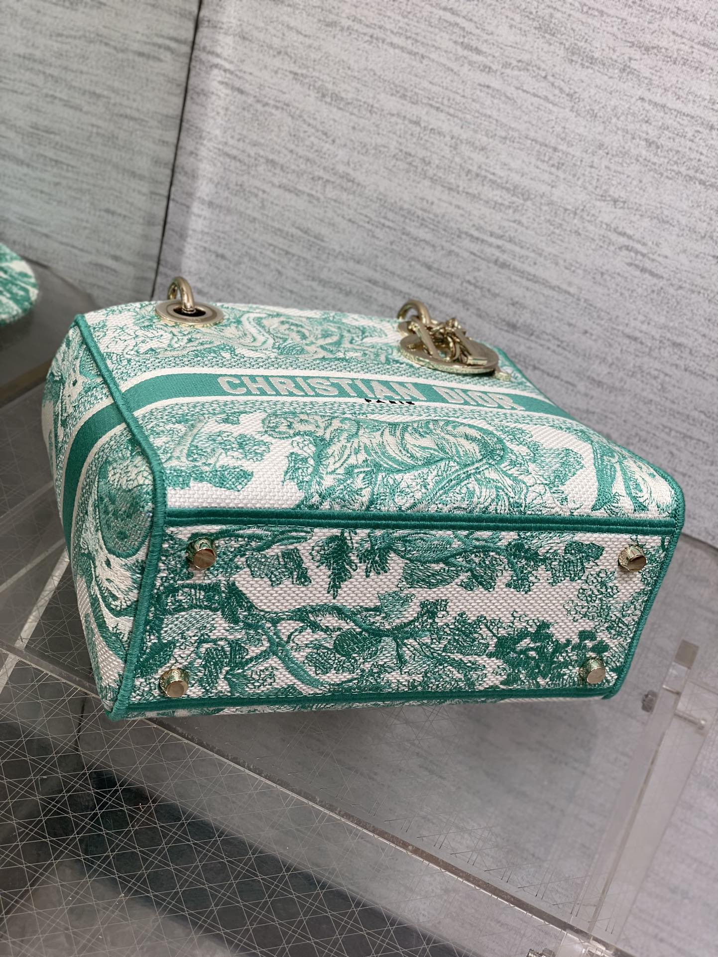 BAG-DIOR-W-LY-070