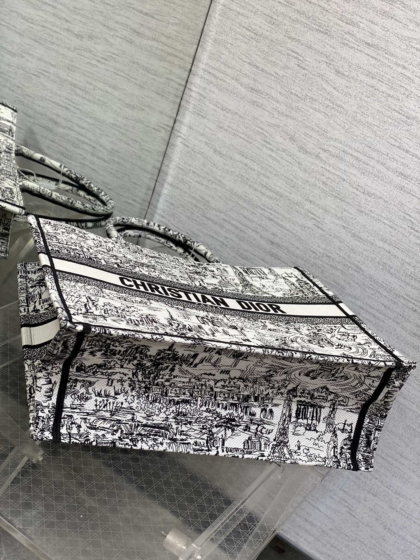 BAG-DIOR-W-LY-199