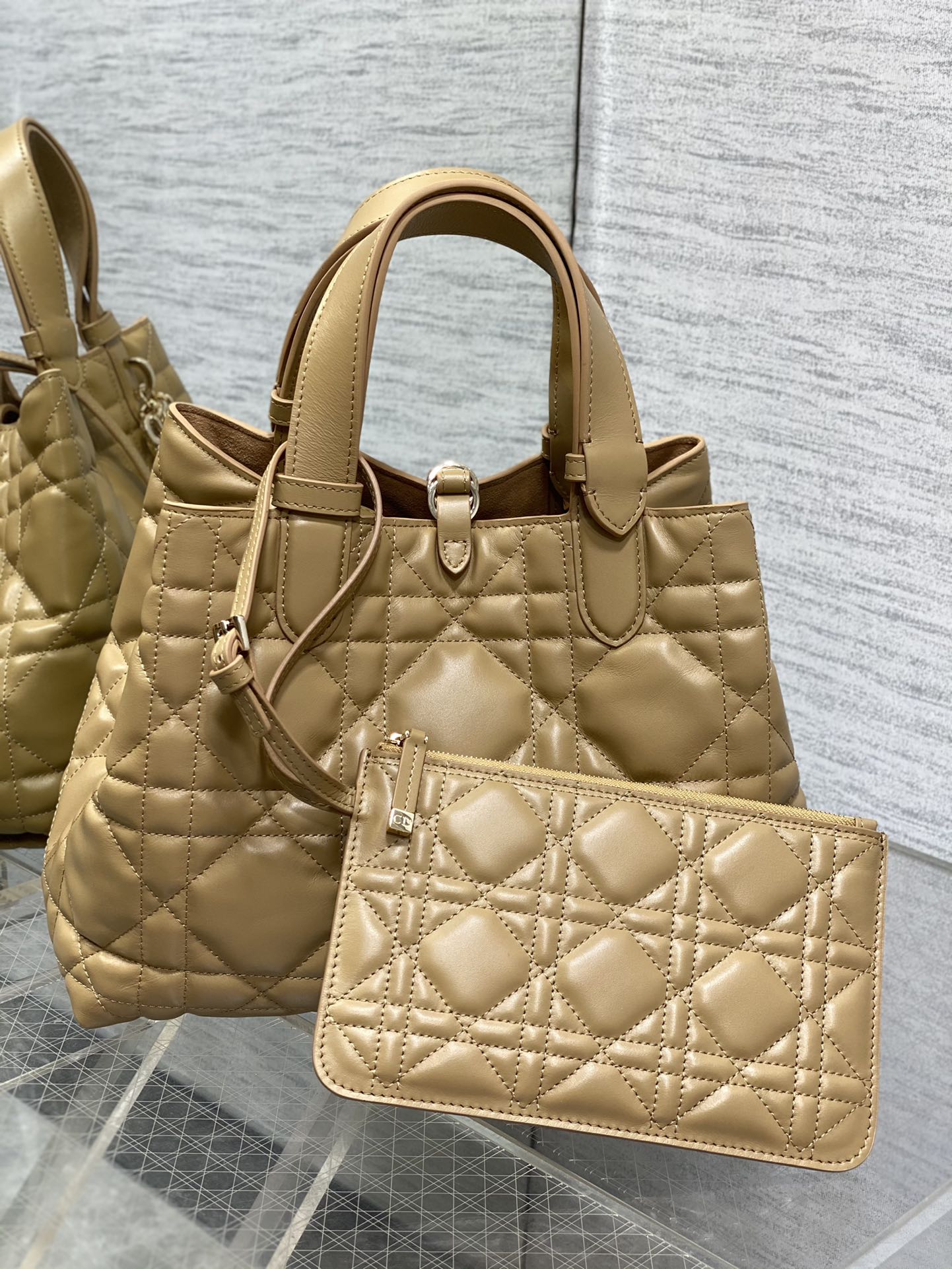 BAG-DIOR-W-LY-170
