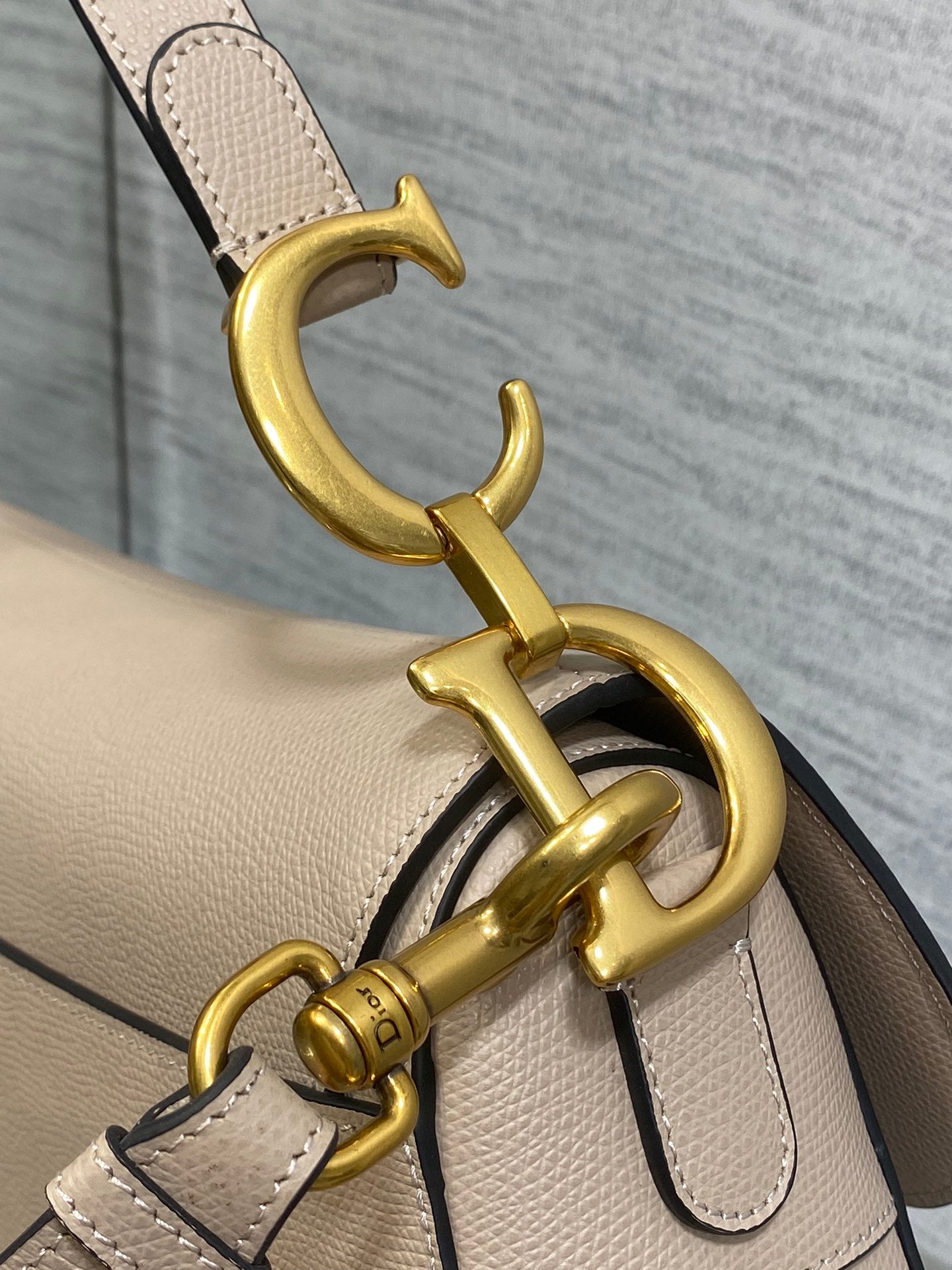 BAG-DIOR-W-LY-113