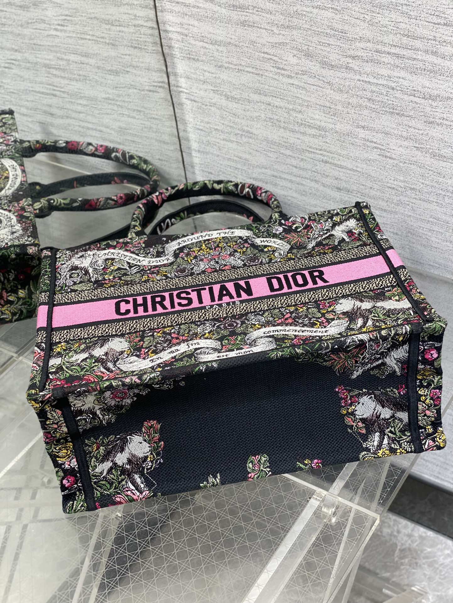BAG-DIOR-W-LY-202