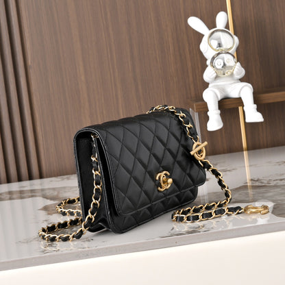 BAG-CHANEL-070