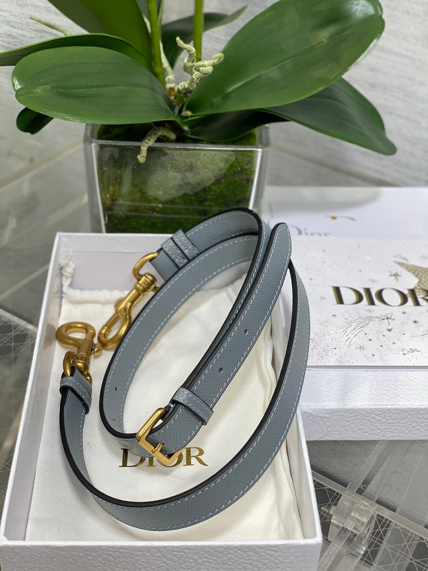 BAG-DIOR-W-LY-063