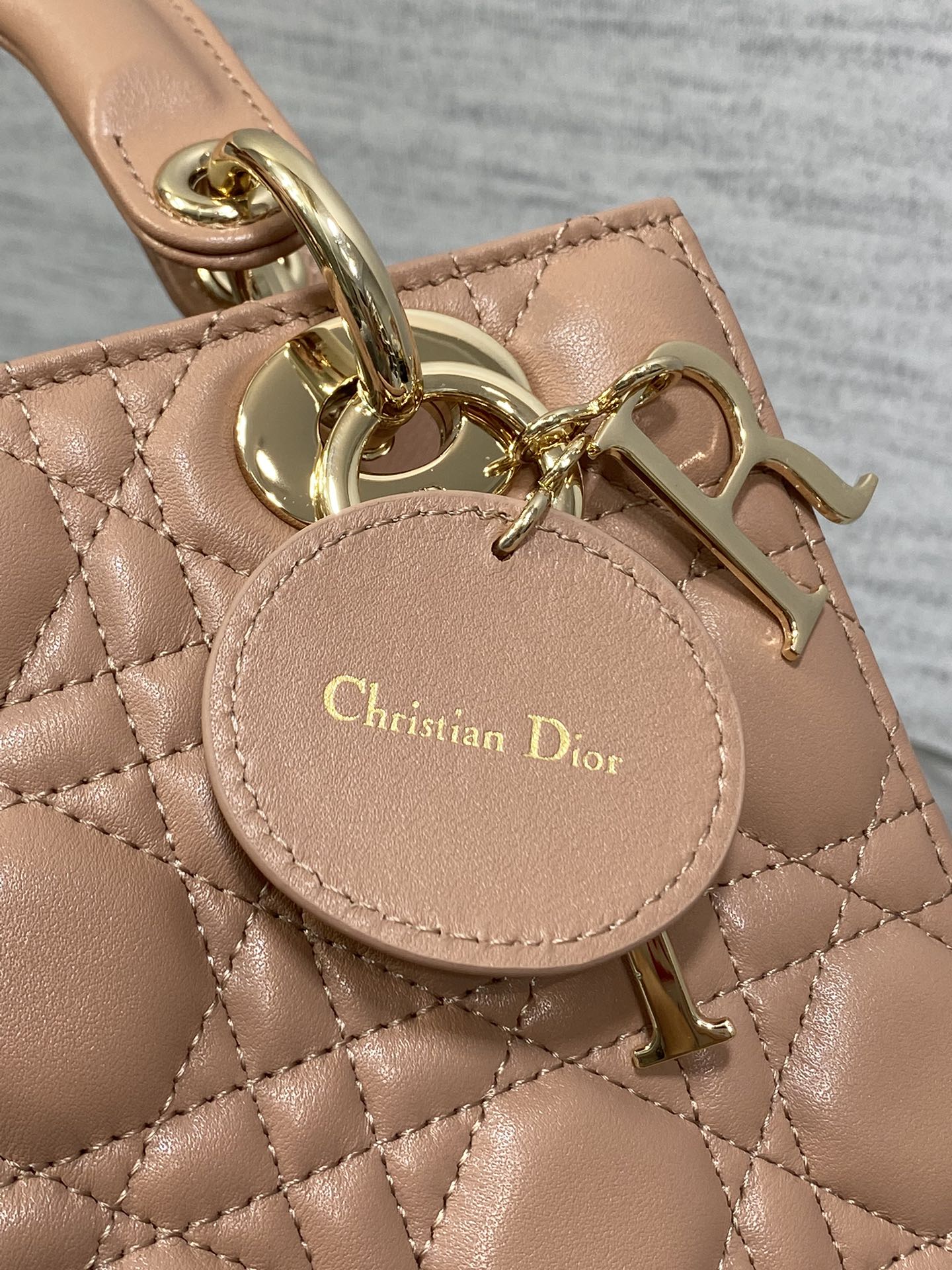 BAG-DIOR-W-LY-765