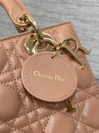 BAG-DIOR-W-LY-765