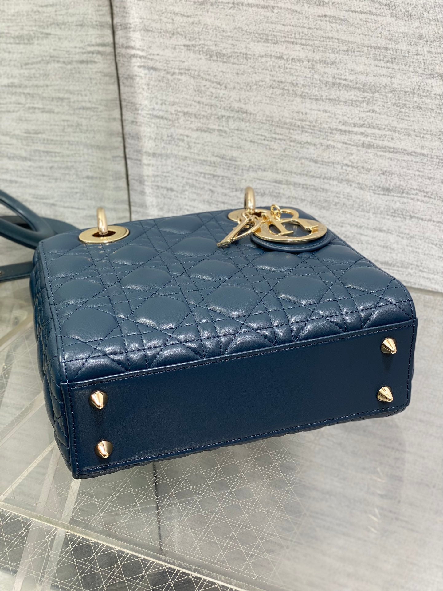 BAG-DIOR-W-LY-789