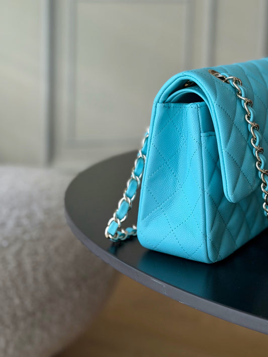 BAG-CHANEL-097