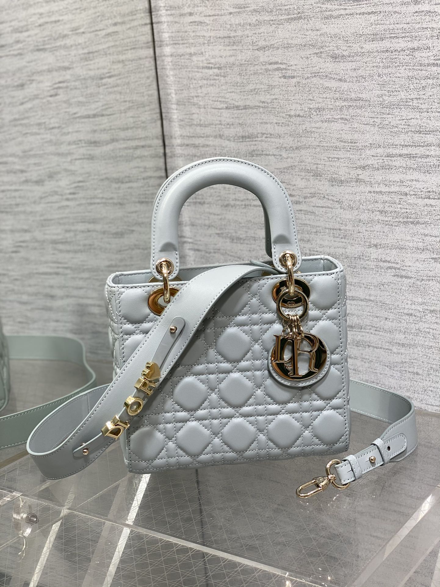 BAG-DIOR-W-LY-669