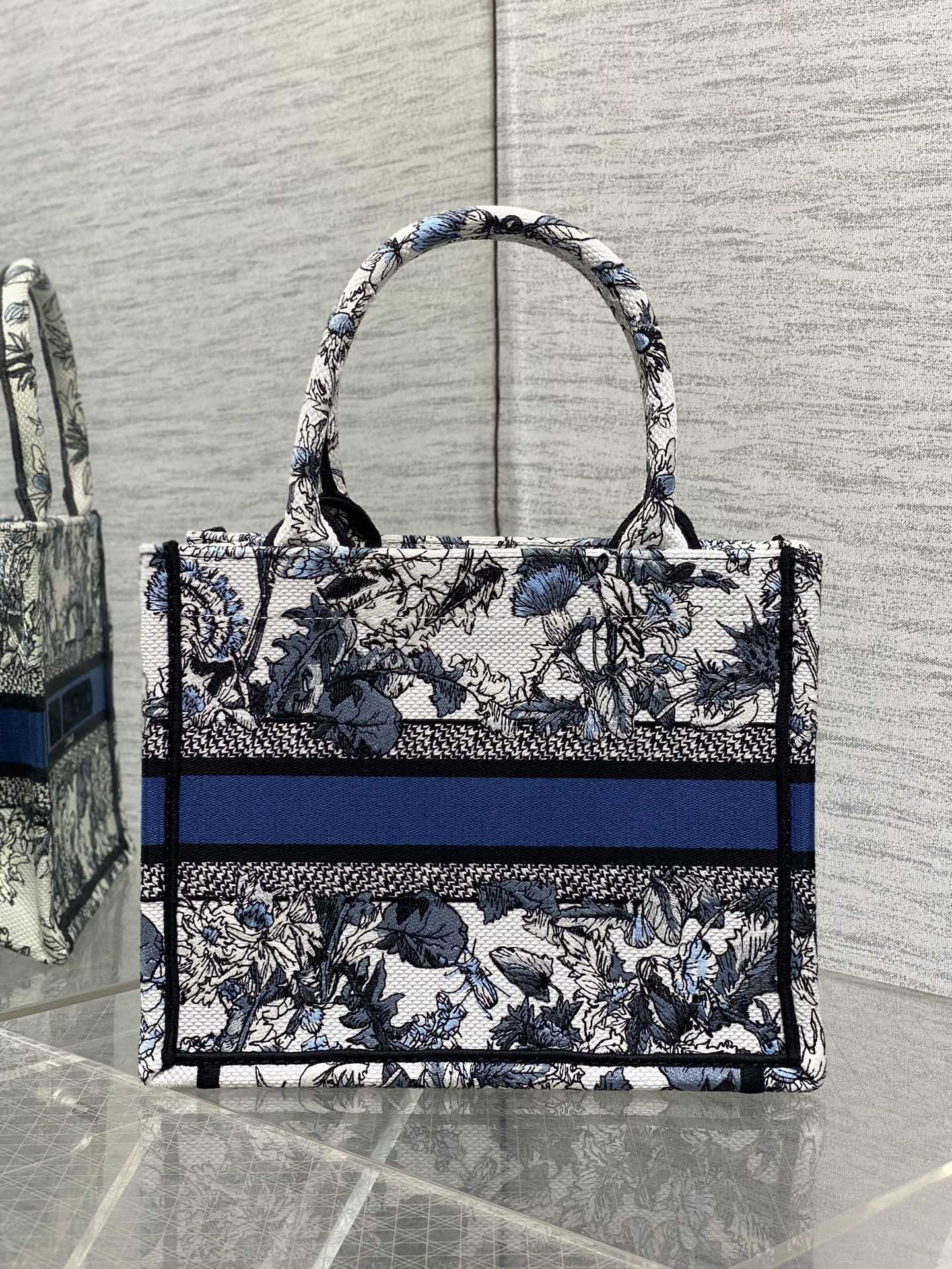 BAG-DIOR-W-LY-885