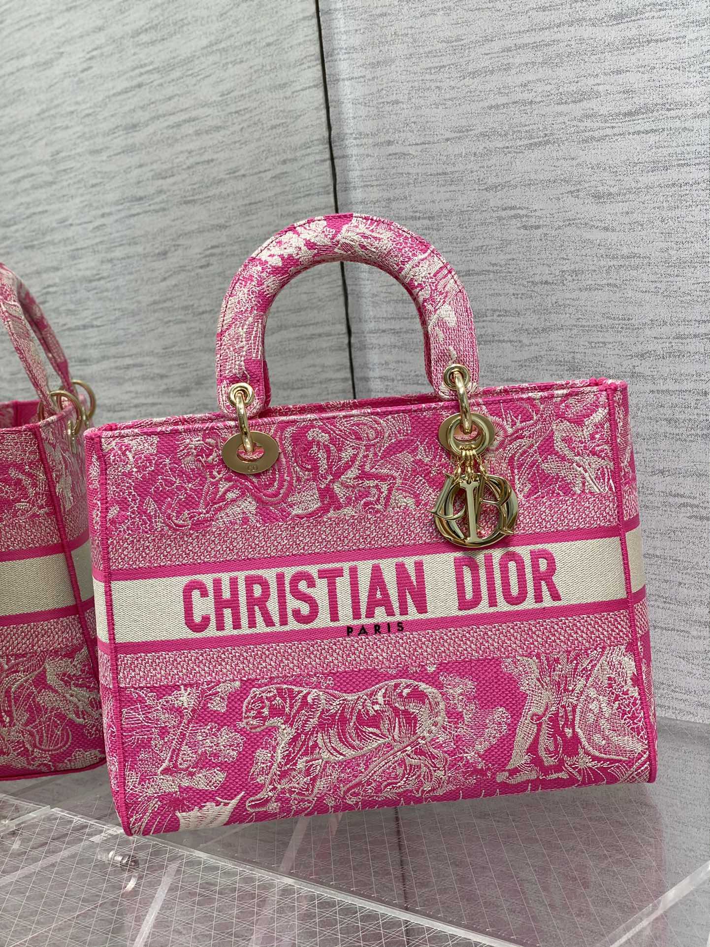 BAG-DIOR-W-LY-080