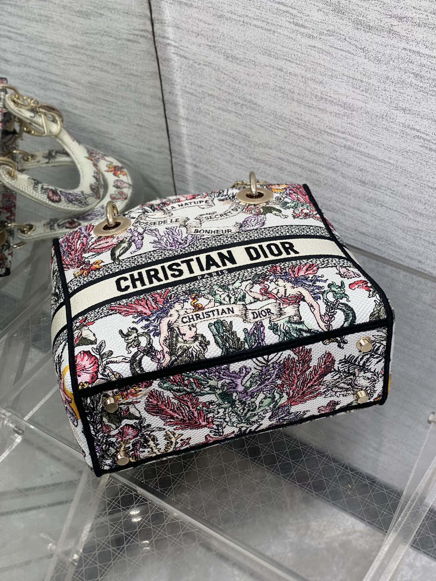 BAG-DIOR-W-LY-512