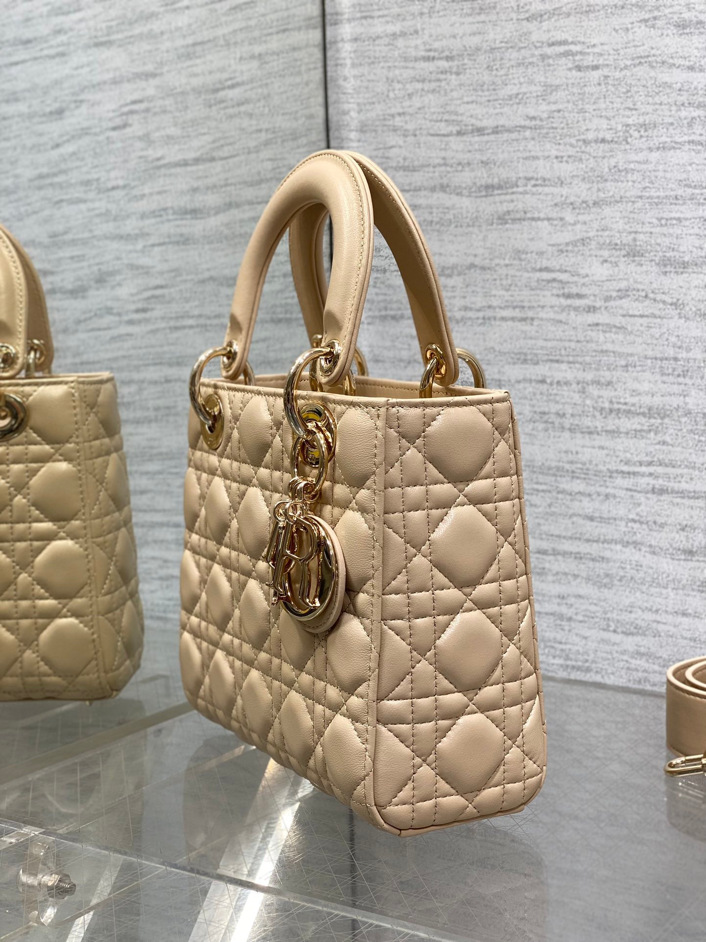 BAG-DIOR-W-LY-769