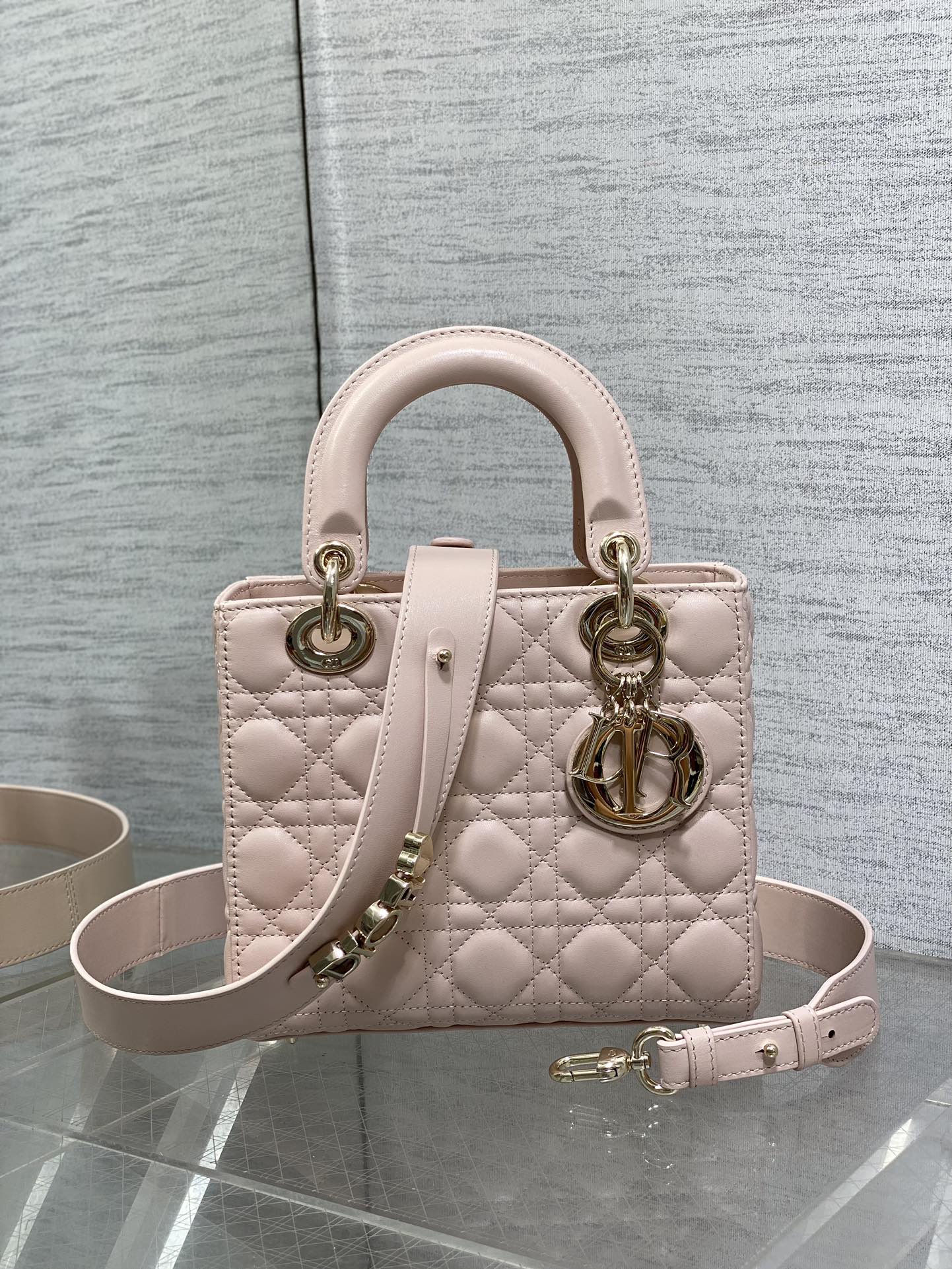 BAG-DIOR-W-LY-165