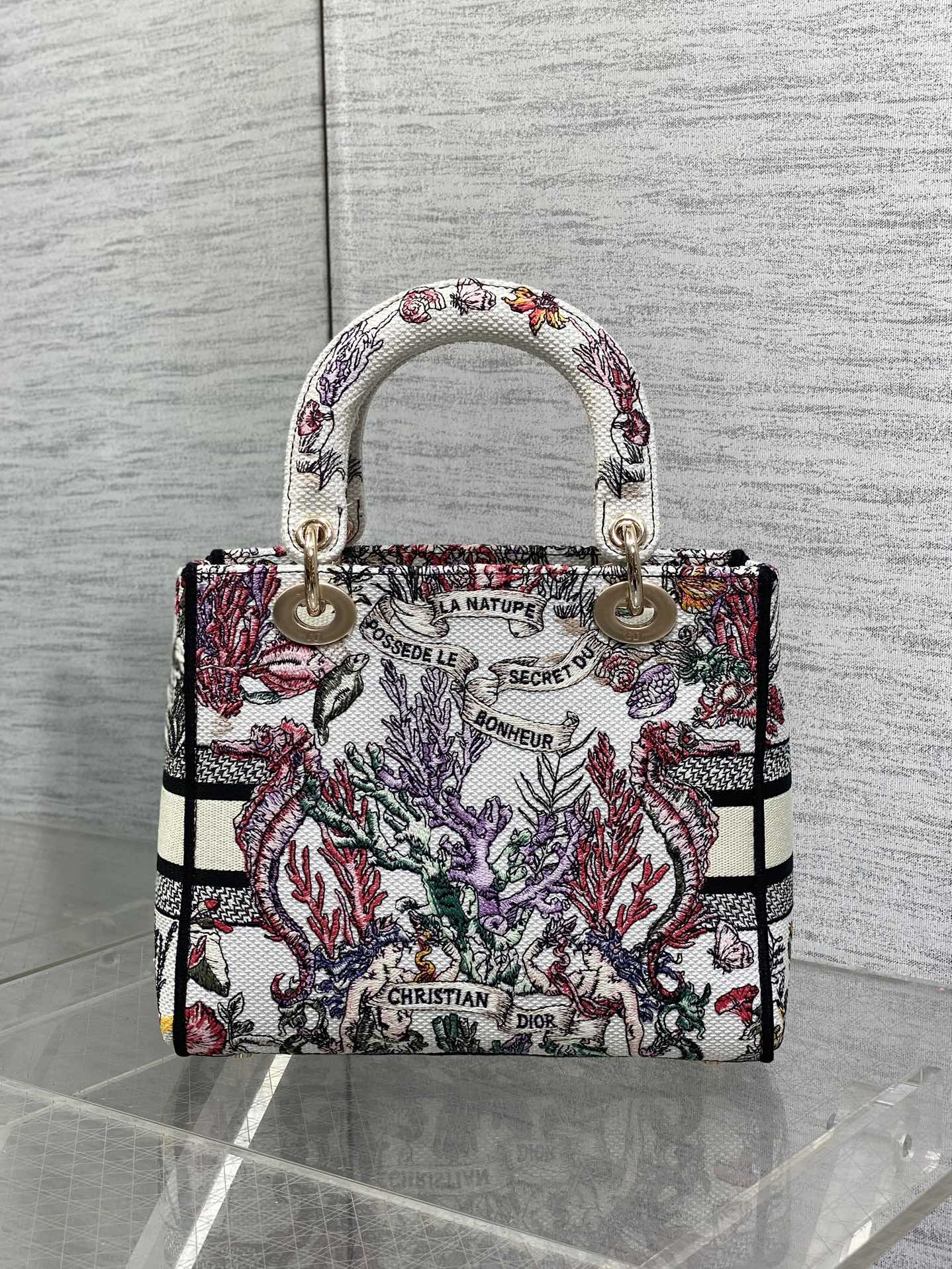 BAG-DIOR-W-LY-512