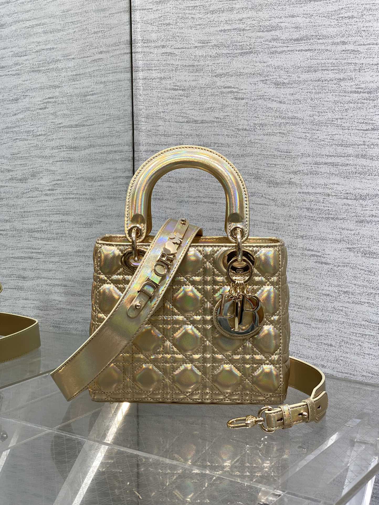 BAG-DIOR-W-LY-797