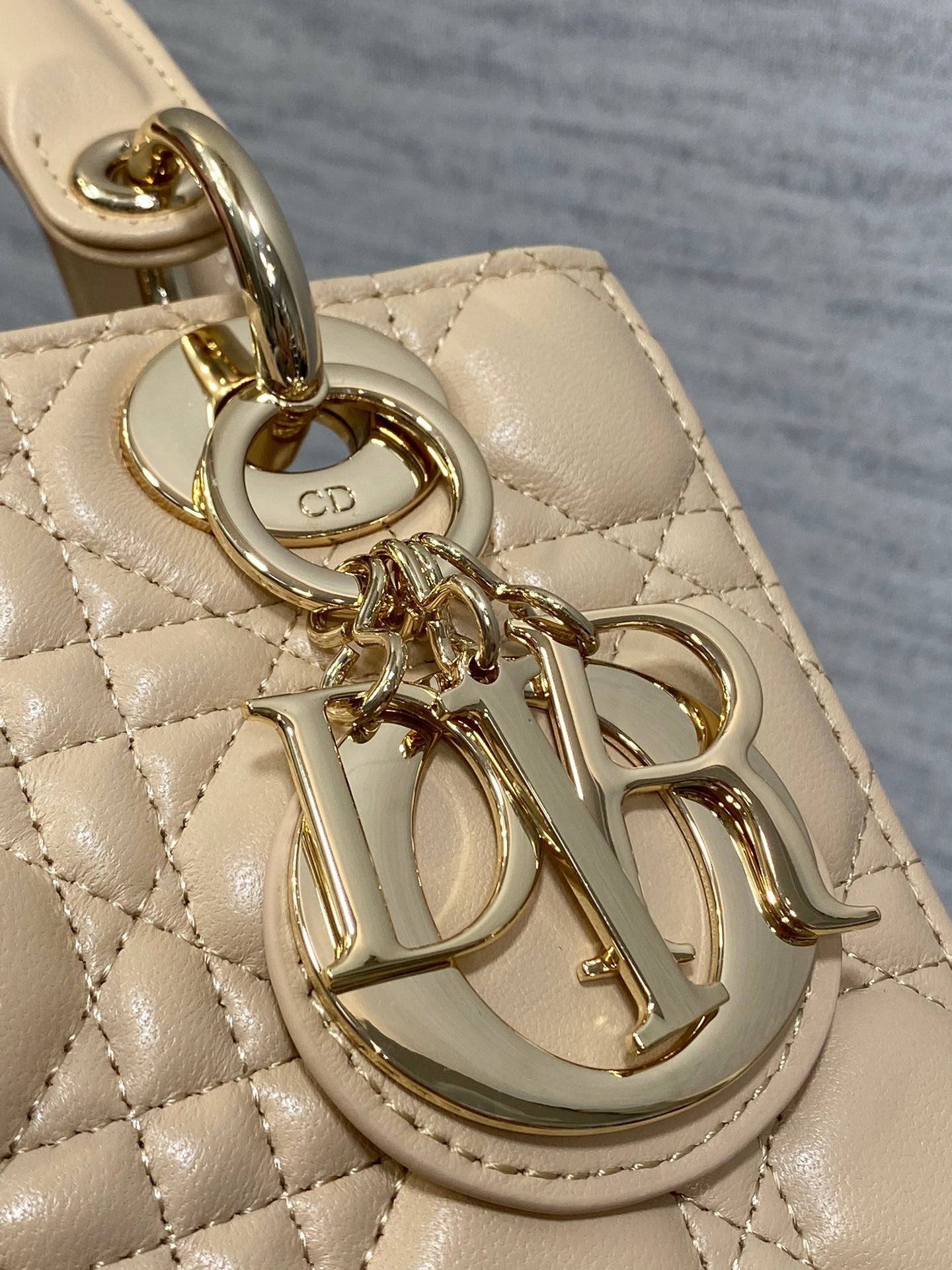 BAG-DIOR-W-LY-769