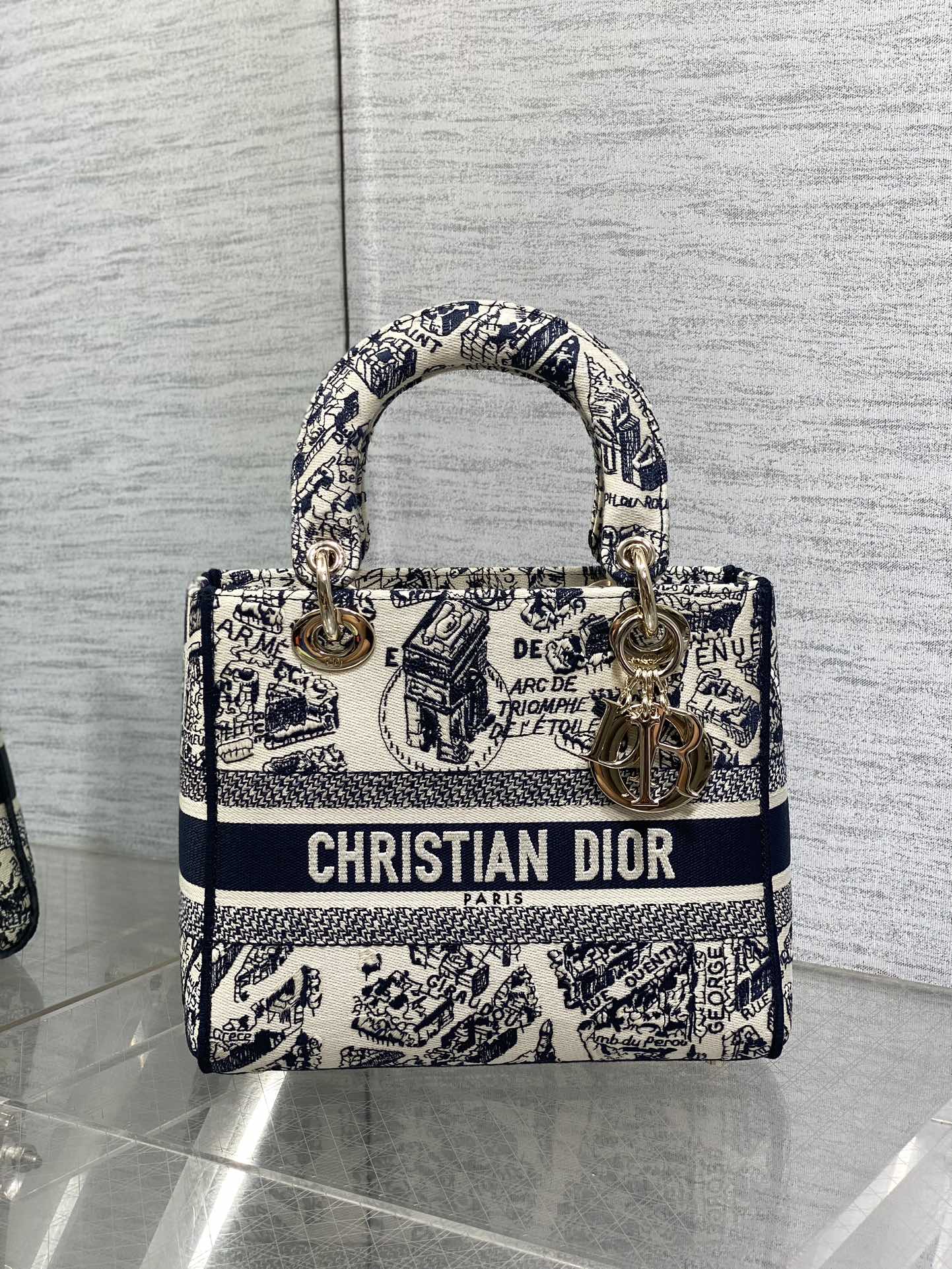BAG-DIOR-W-LY-068
