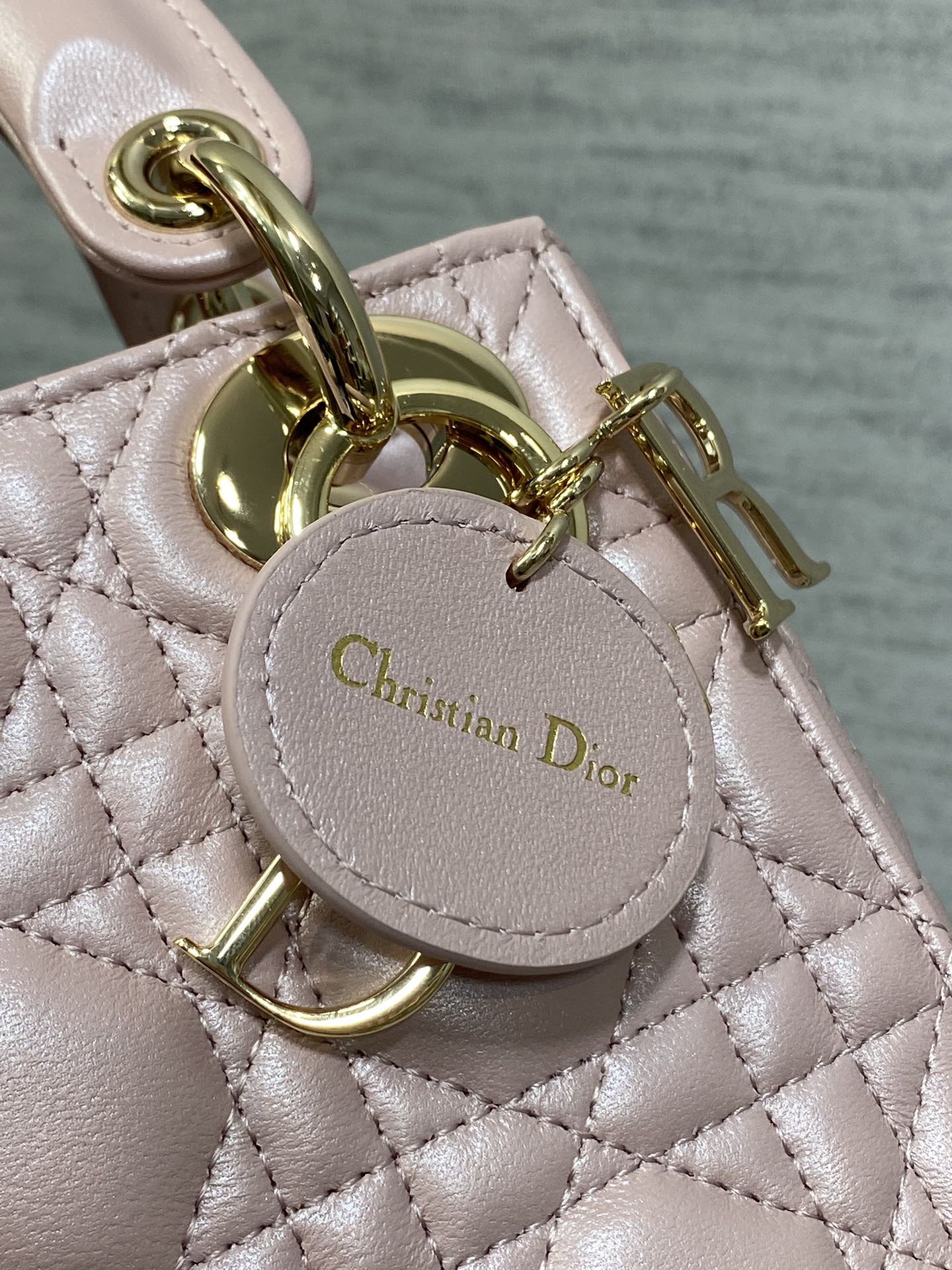 BAG-DIOR-W-LY-754