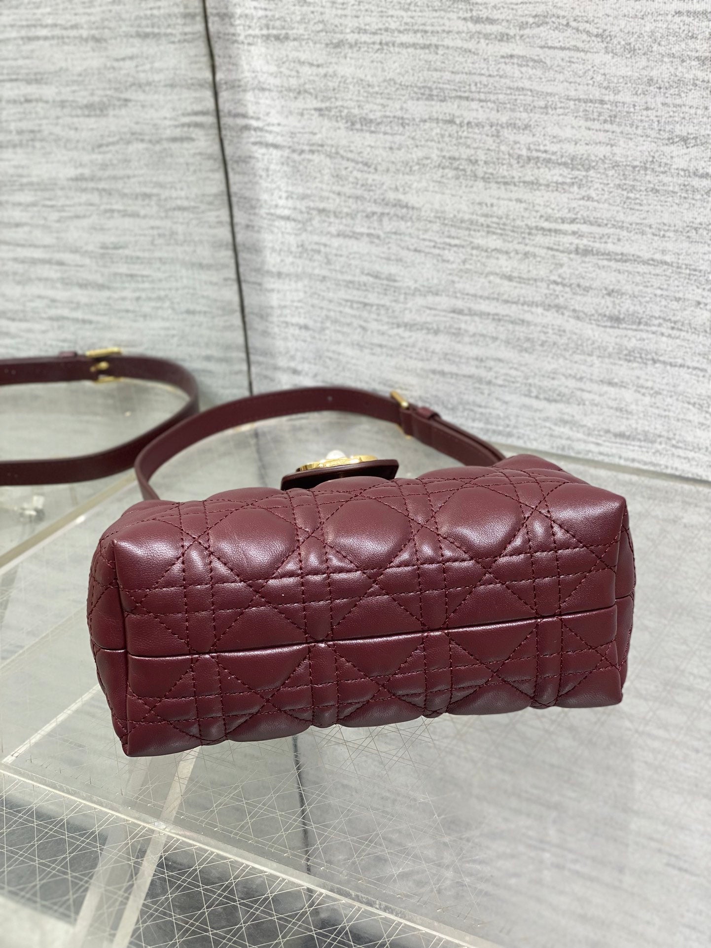 BAG-DIOR-W-LY-022