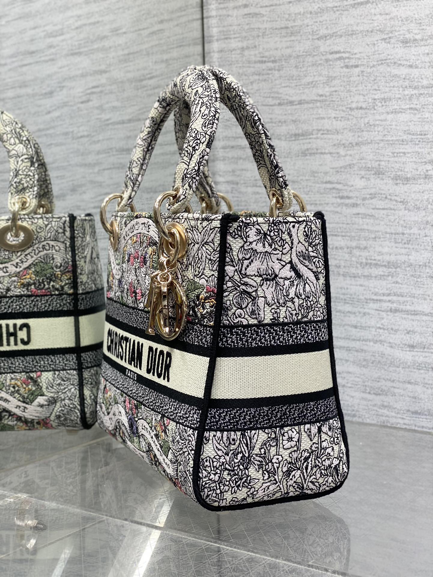 BAG-DIOR-W-LY-499