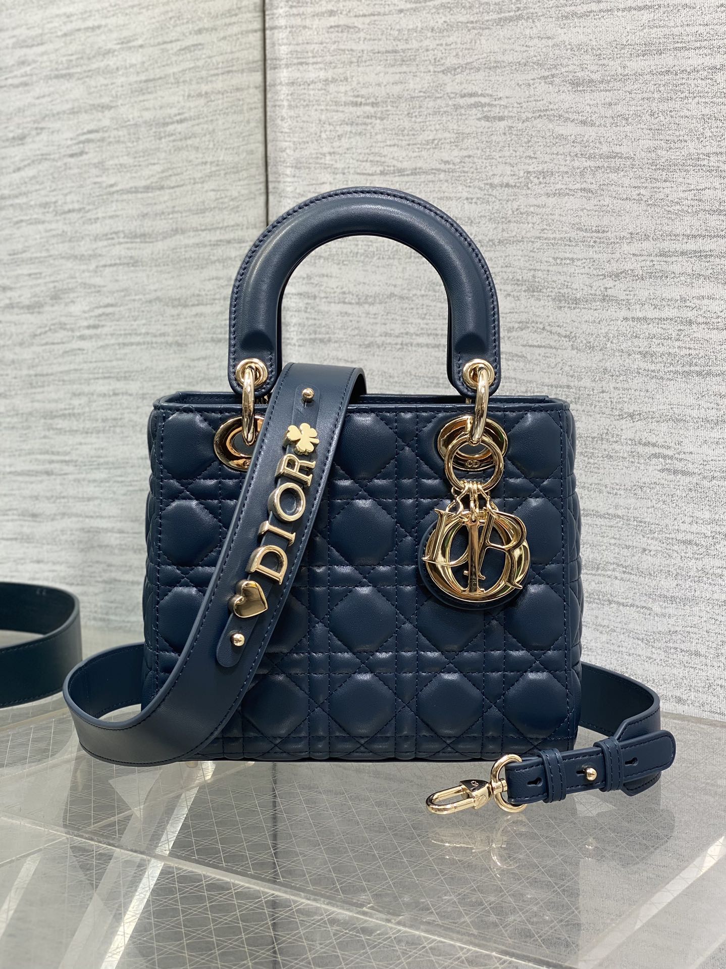 BAG-DIOR-W-LY-789