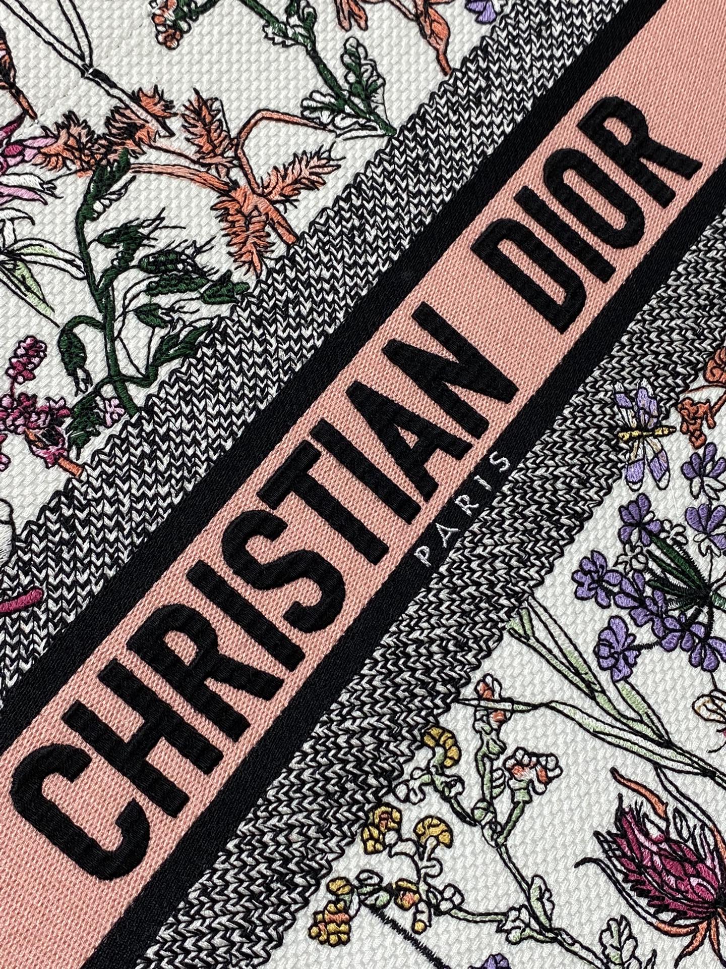 BAG-DIOR-W-LY-198