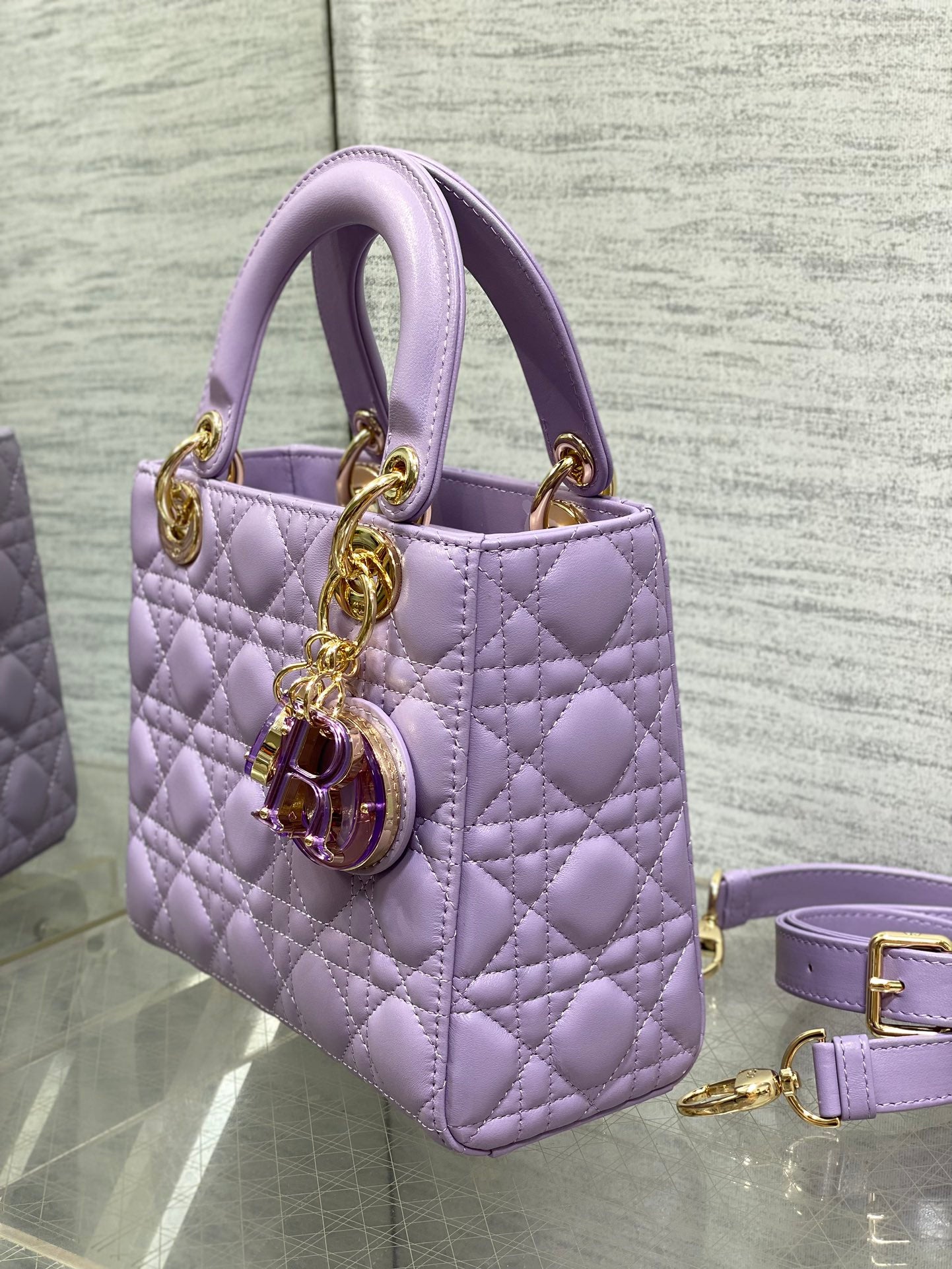 BAG-DIOR-W-LY-013