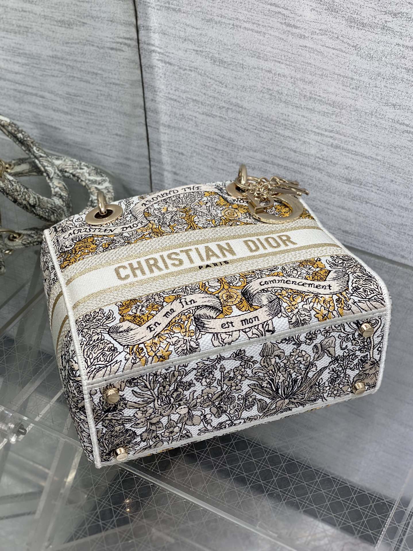BAG-DIOR-W-LY-494