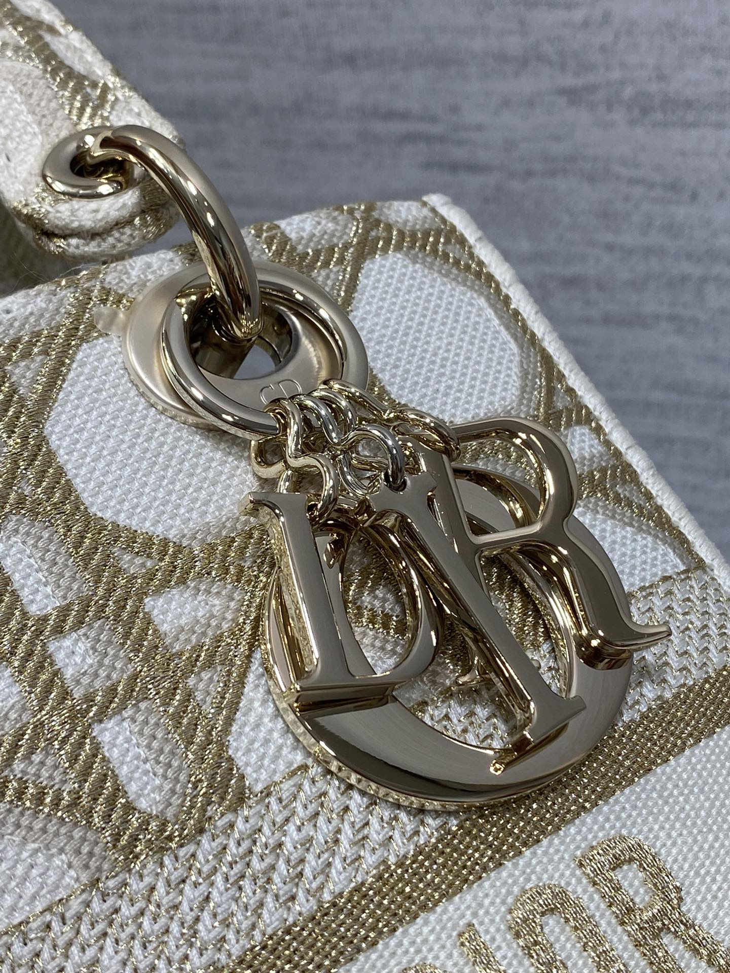 BAG-DIOR-W-LY-452