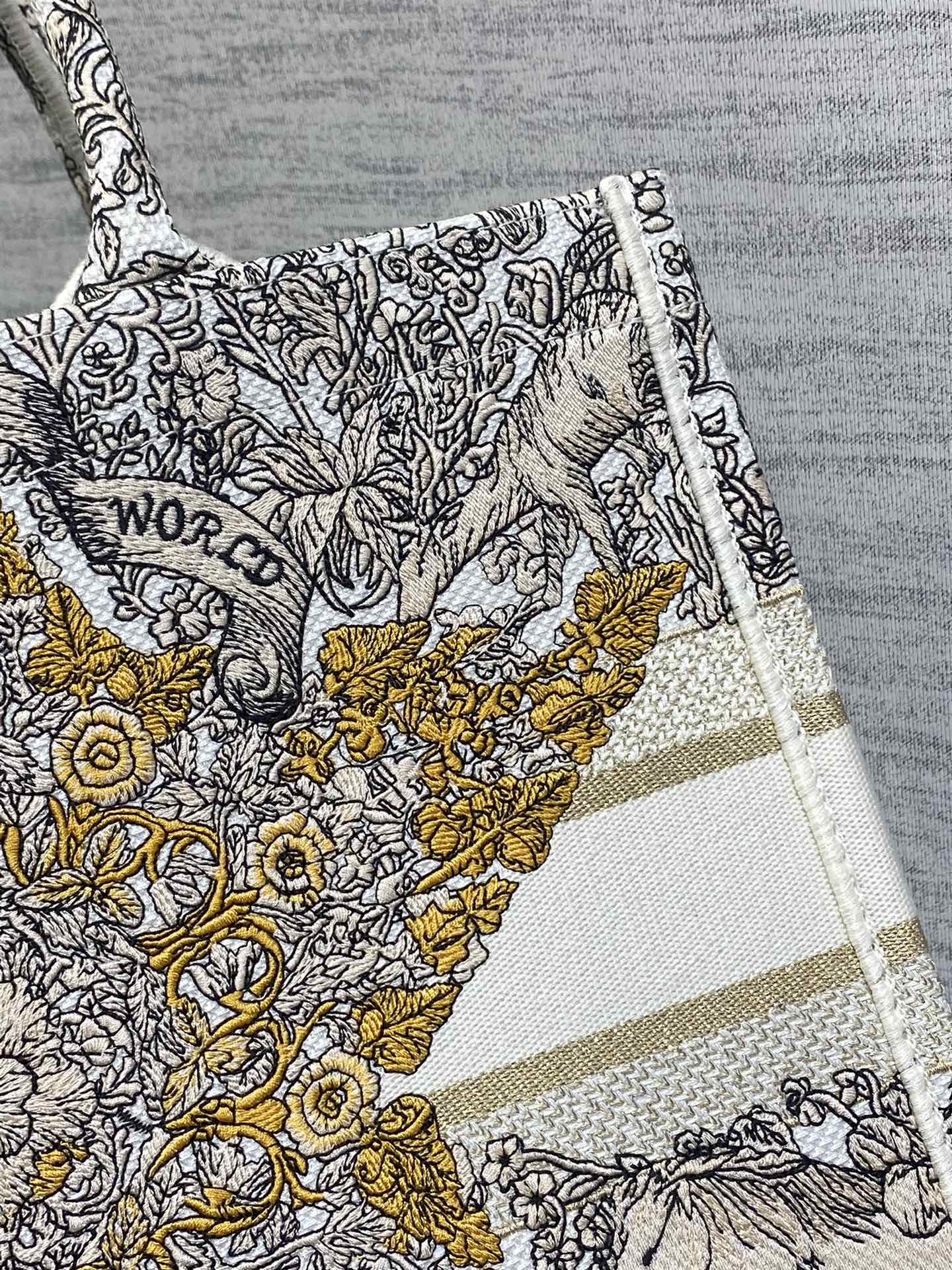 BAG-DIOR-W-LY-849