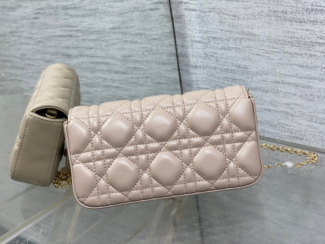 BAG-DIOR-W-LY-036