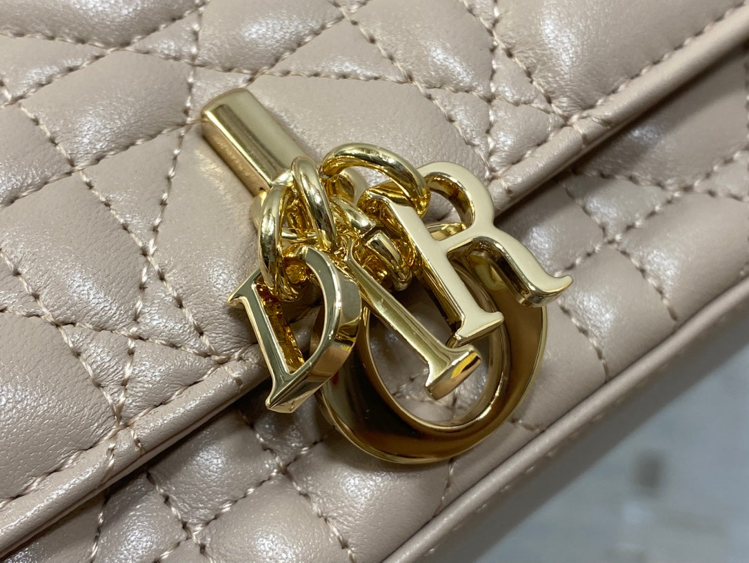 BAG-DIOR-W-LY-036