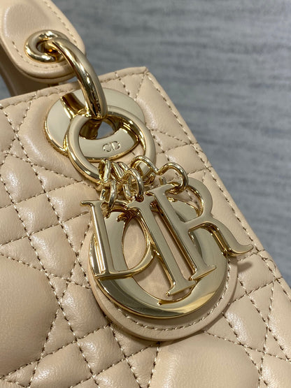 BAG-DIOR-W-LY-752