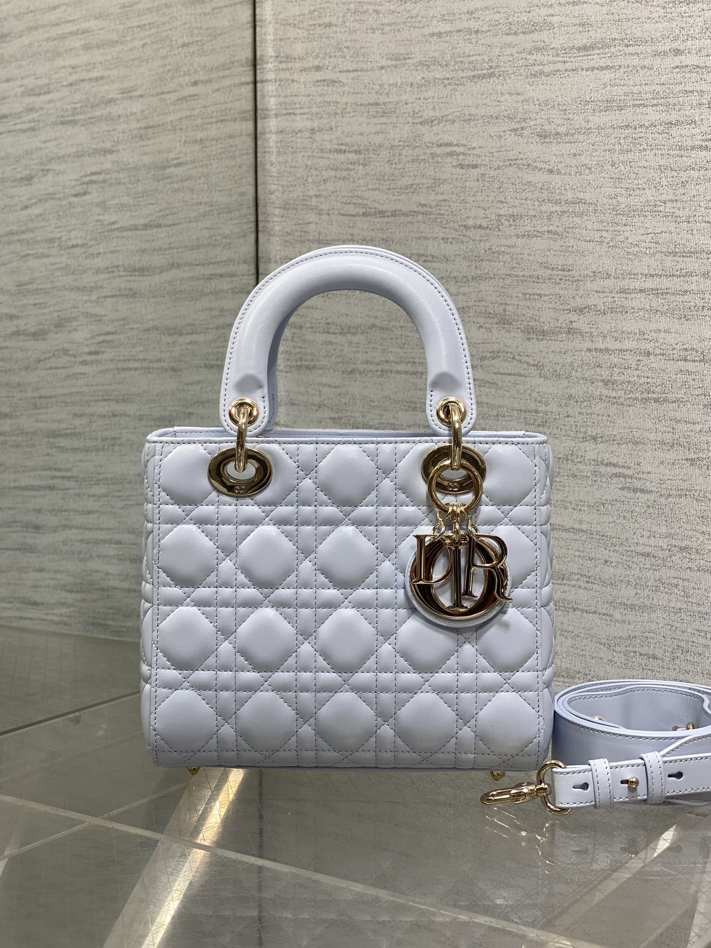 BAG-DIOR-W-LY-700
